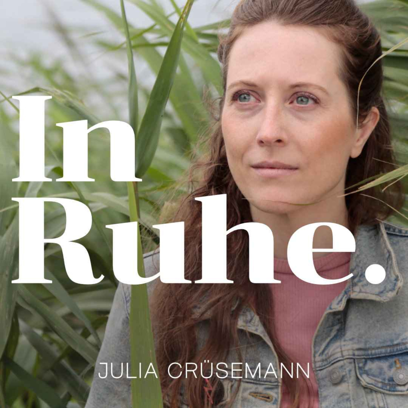 In Ruhe. Gespräche über Meditation