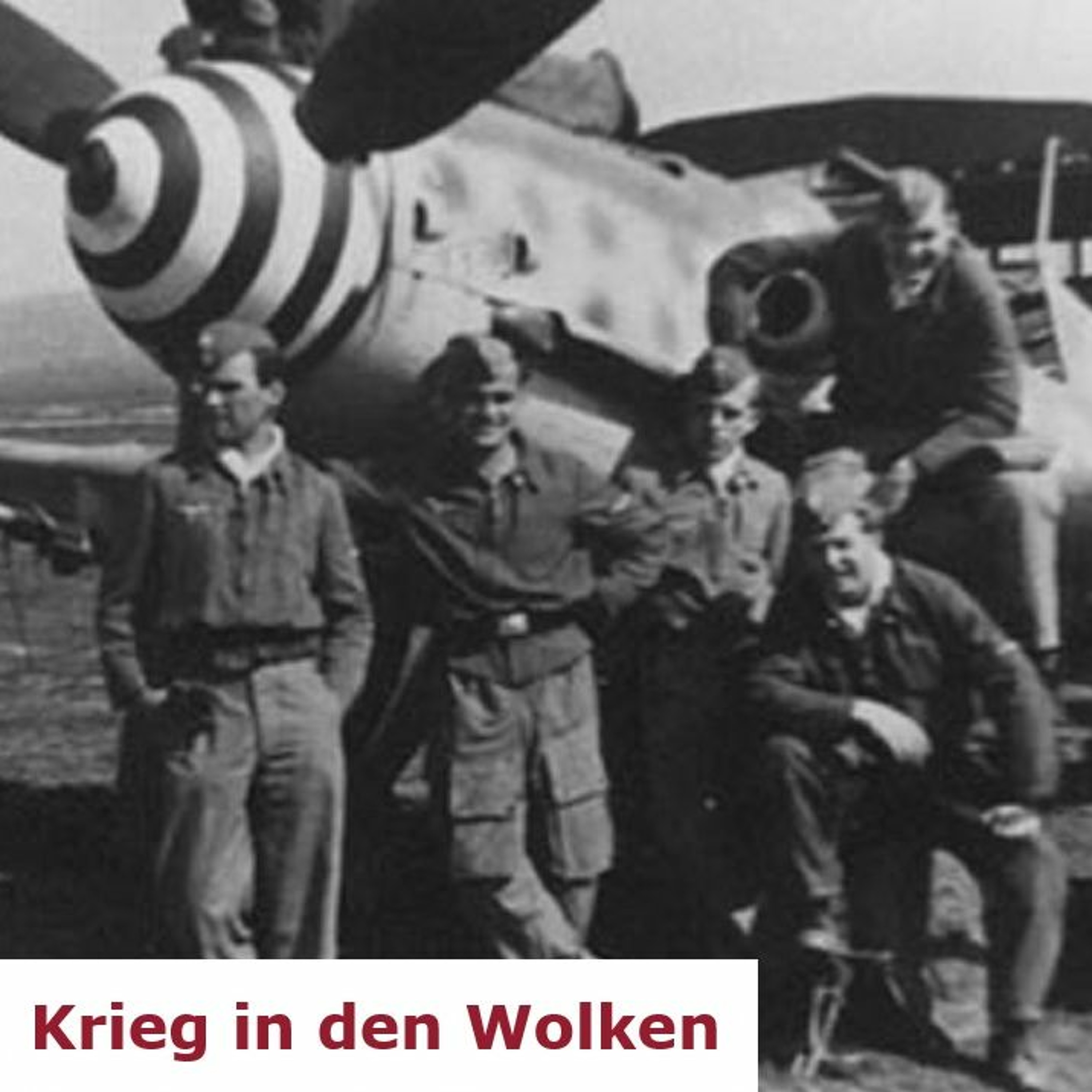 Kriegstagebücher