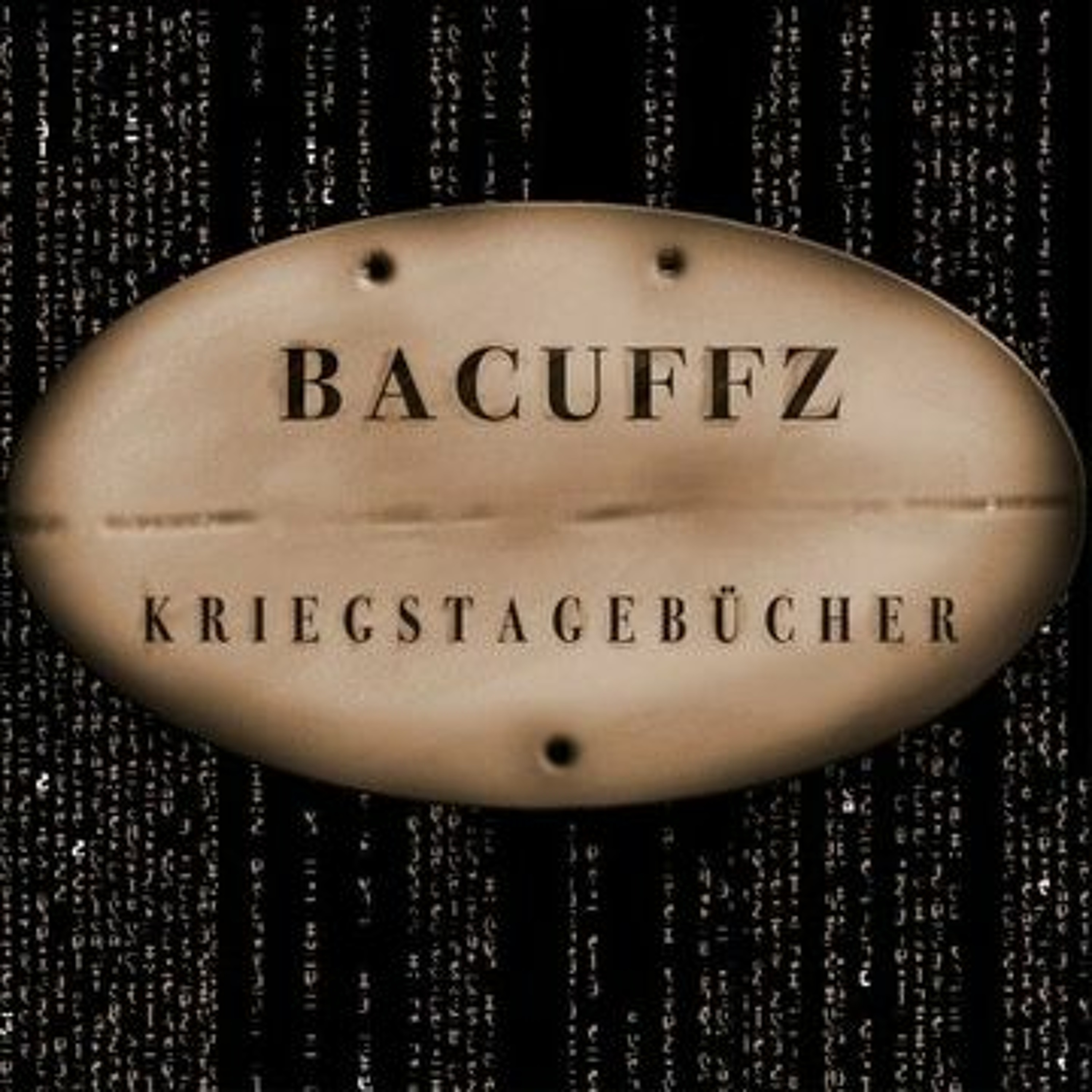 Kriegstagebücher