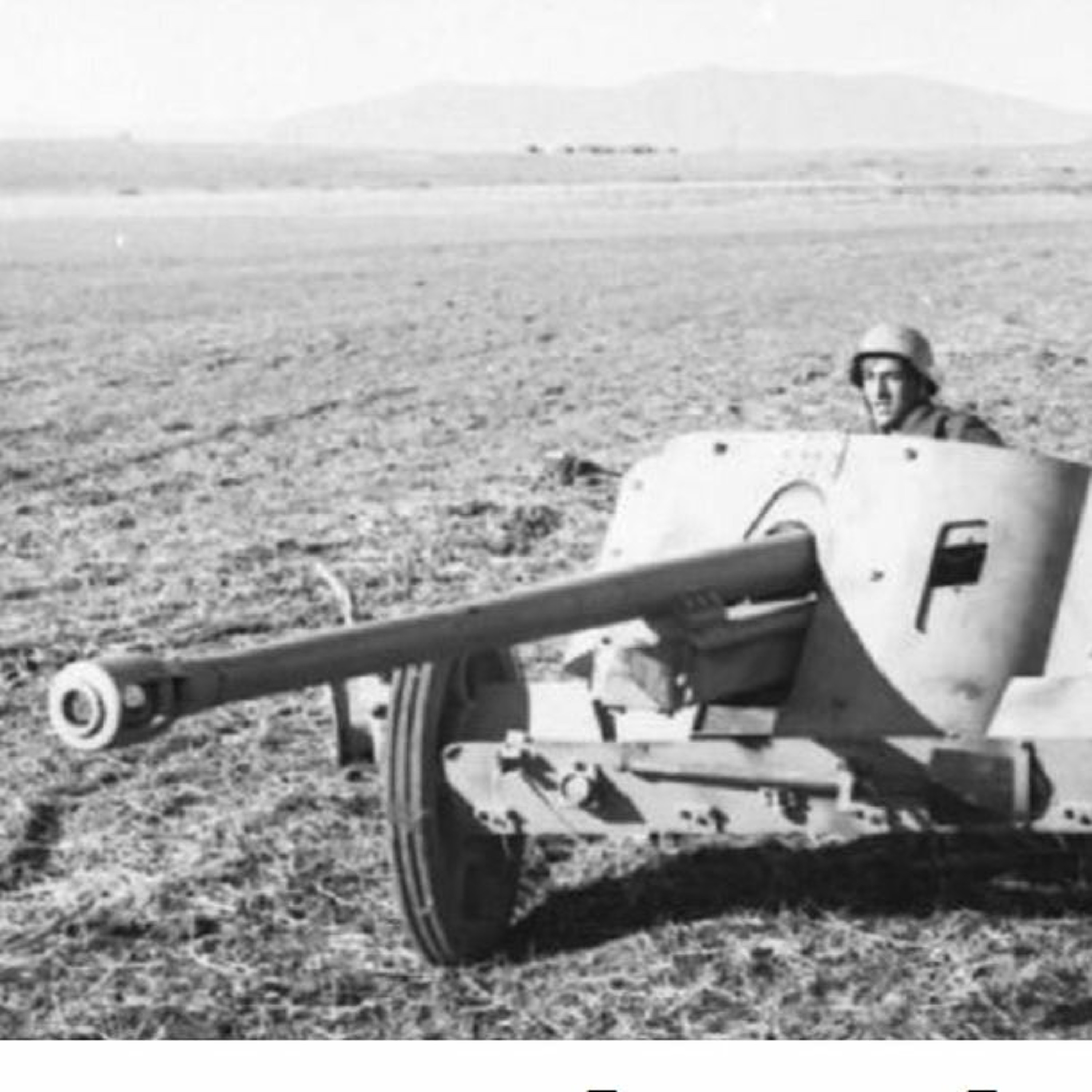 Kriegstagebücher