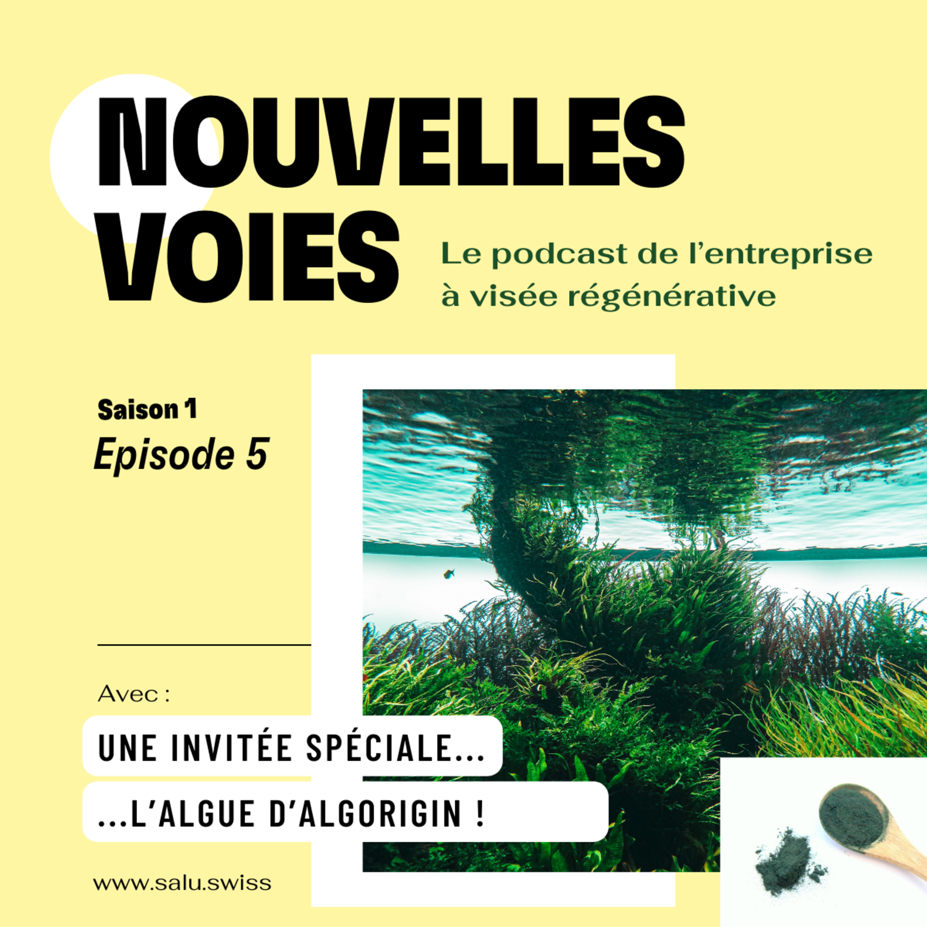 Nouvelles voies