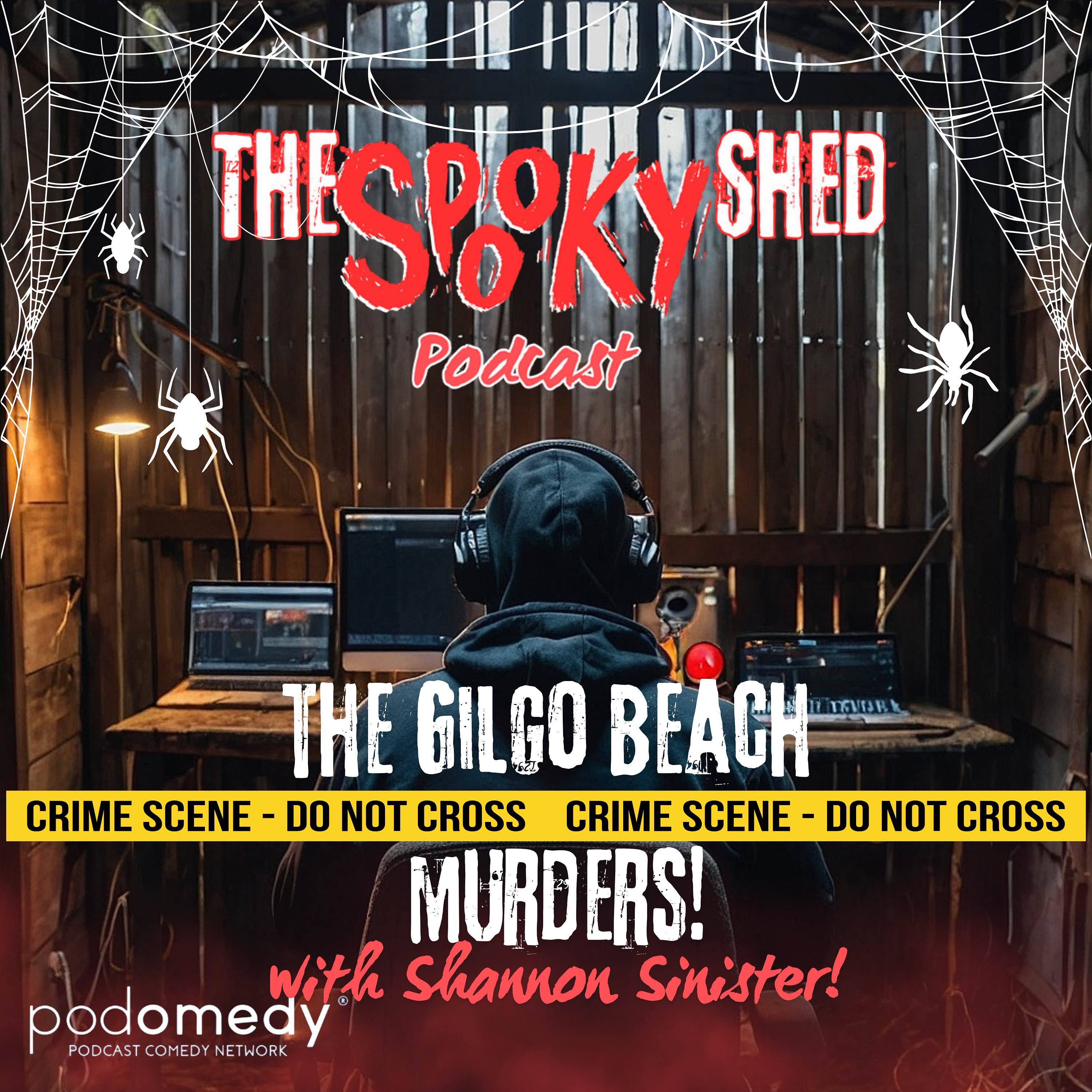 The Gilgo Beach Murders! Ep.91