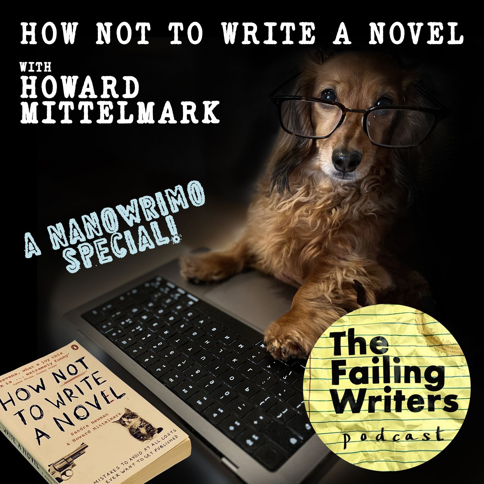 S3 Ep22: Nanowrimo Special: How NOT to write a novel with Howard Mittelmark
