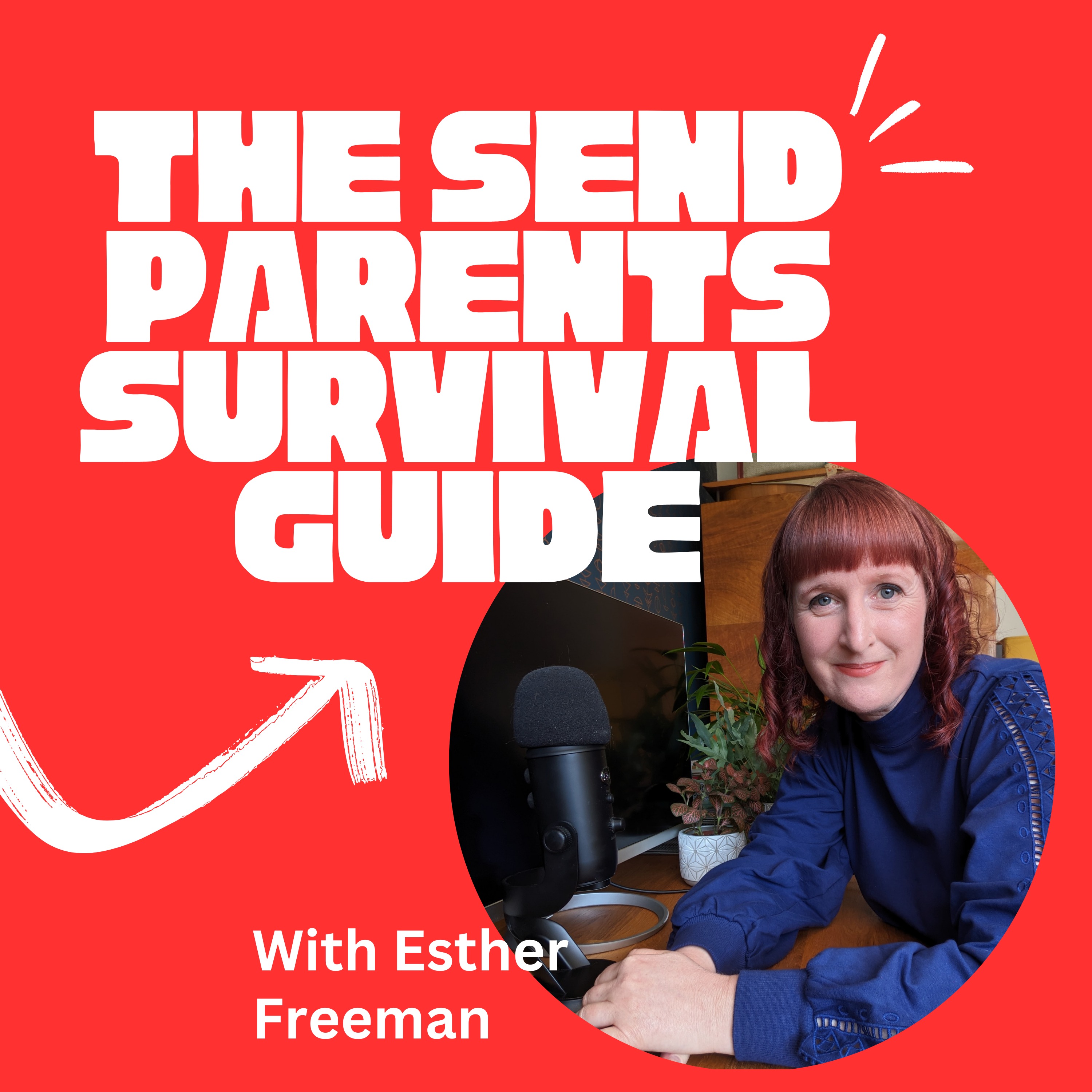 The SEND Parents Survival Guide