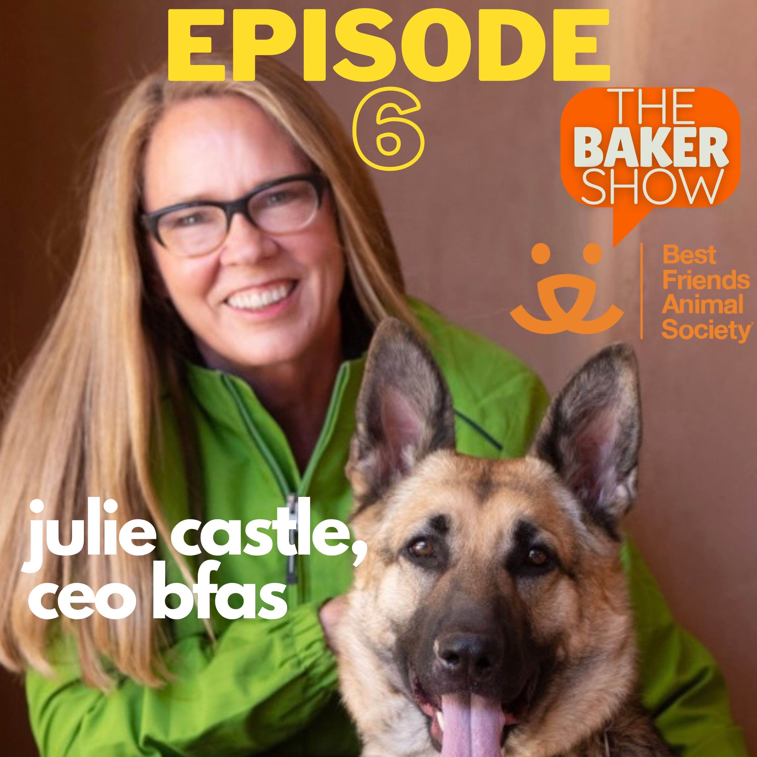 The Baker Show