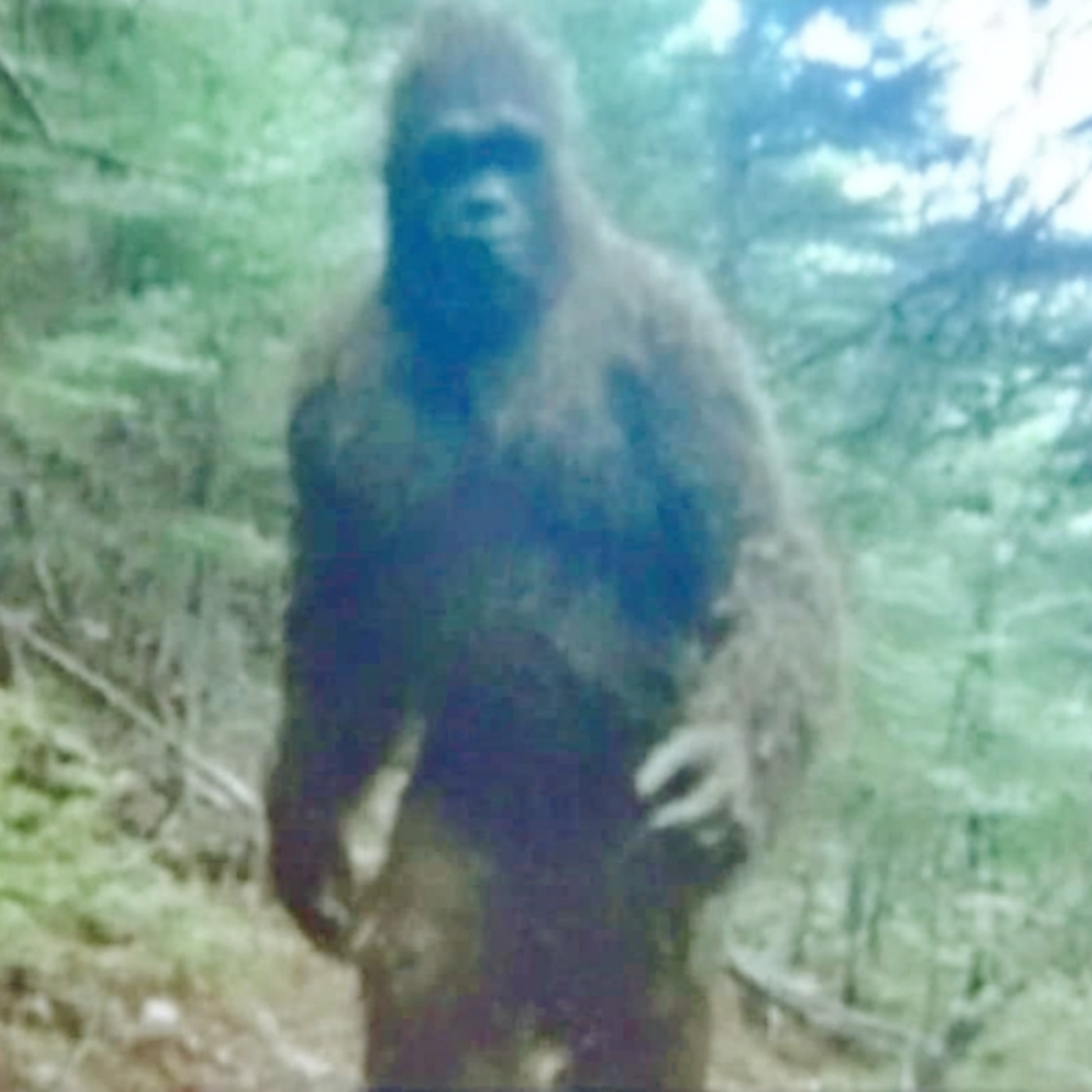 TRUE SCARY DEEP WOODS HORROR STORIES