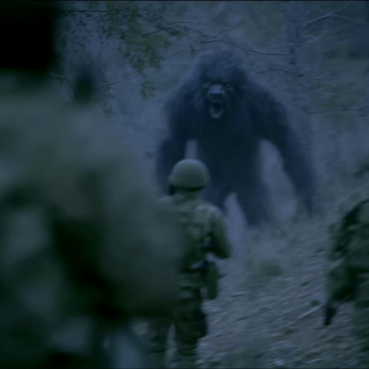 U.S Navy SEAL WARNS US. These THINGS Are ELIMINATING Us in the Appalachian Mountains U.S Navy SEAL WARNS US. These THINGS Are ELIMINATING Us in the Appalachian Mountains