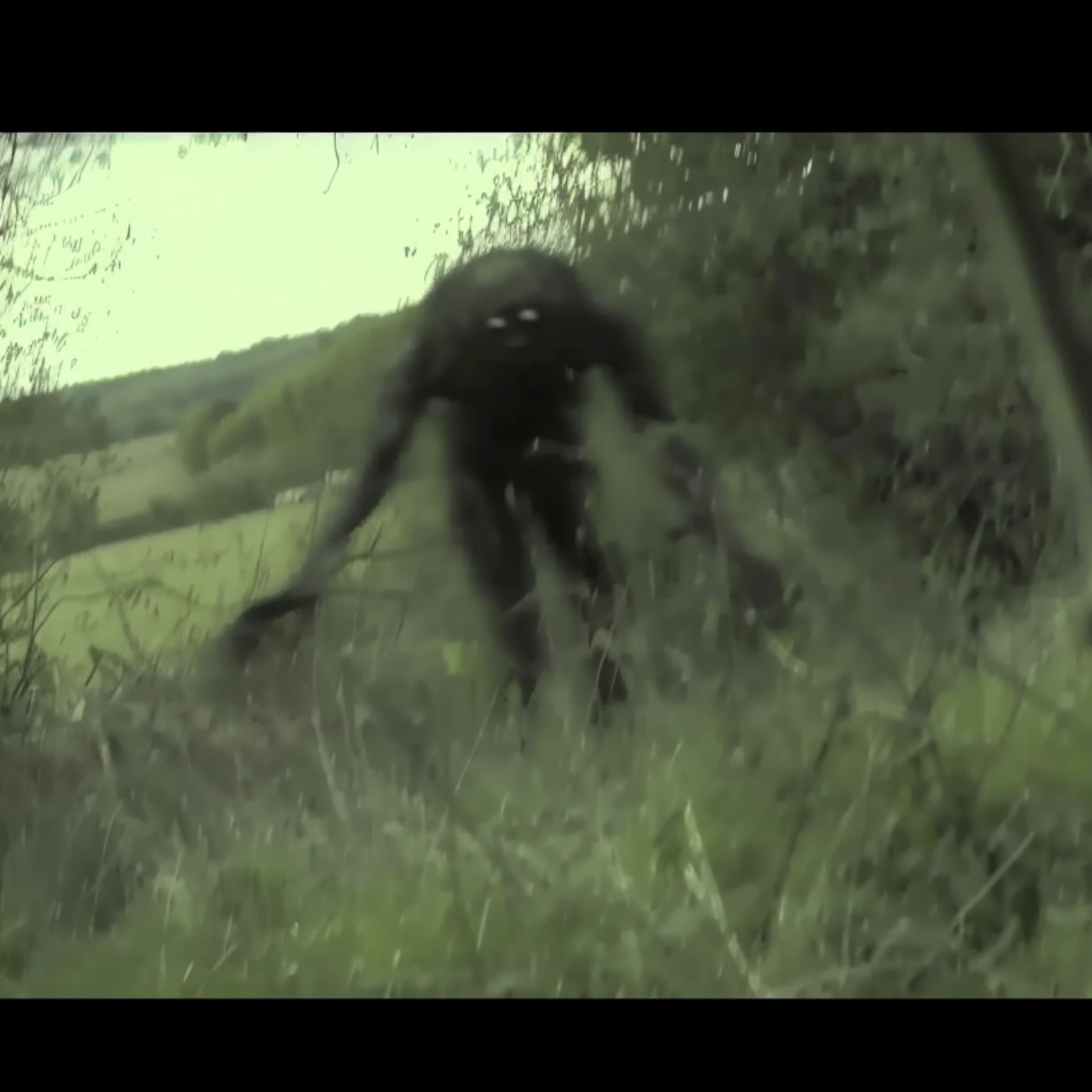 U.S Navy SEAL WARNS. These CREATURES Have Infested Our National Forests and Parks U.S Navy SEAL WARNS. These CREATURES Have Infested Our National Forests and Parks