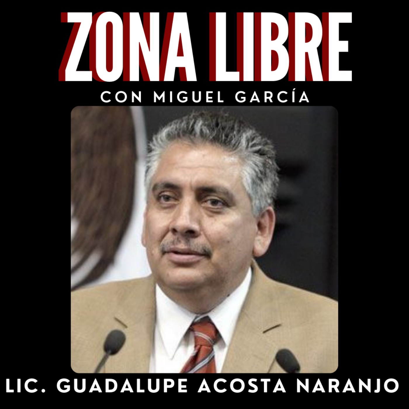 Episodio 5 con Lic. Guadalupe Acosta Naranjo episode artwork