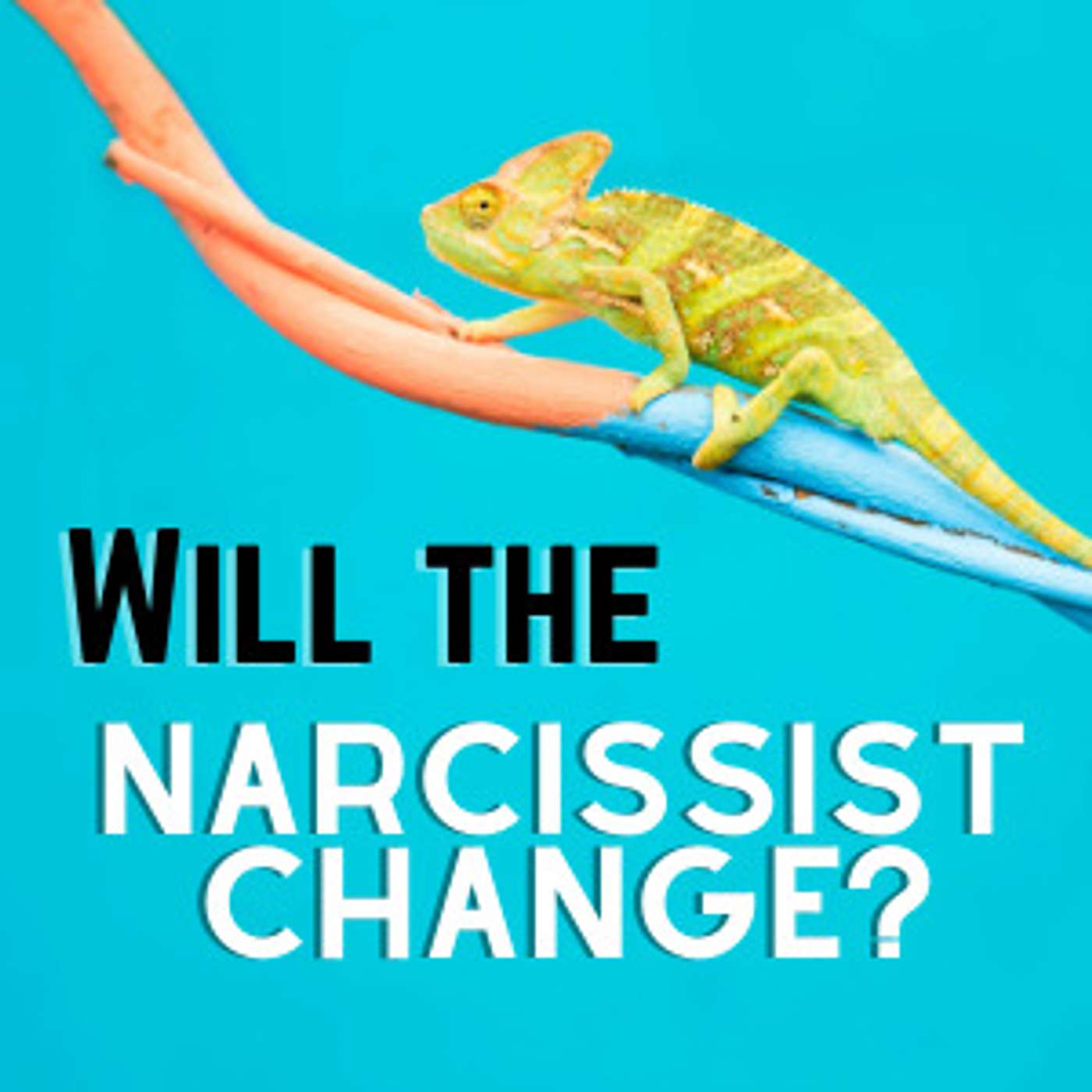 Will the Narcissist Change?  3 Reasons Why It Is Unlikely