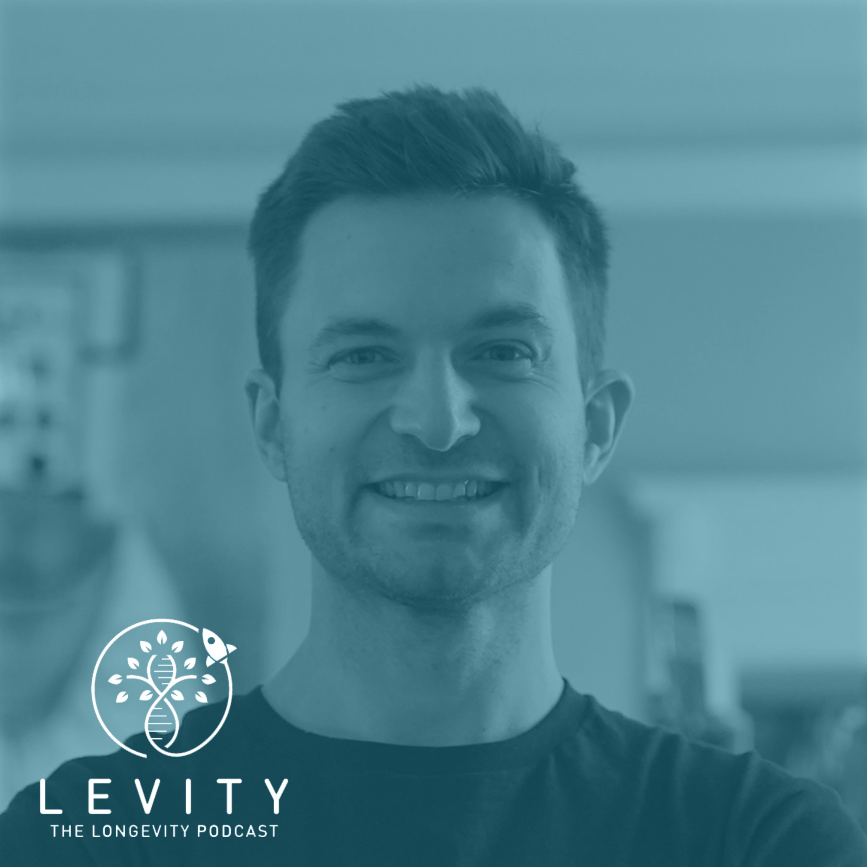 LEVITY