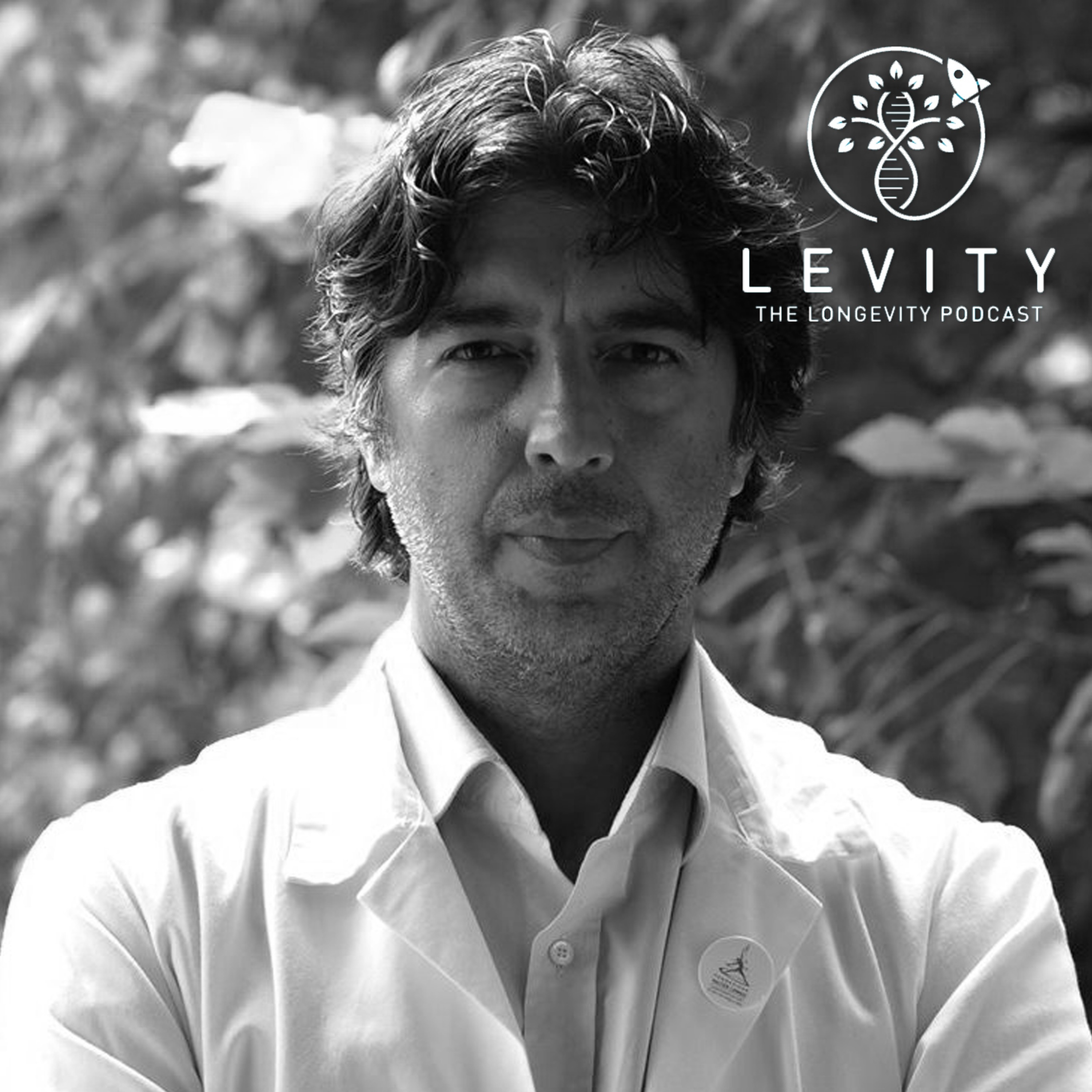 LEVITY