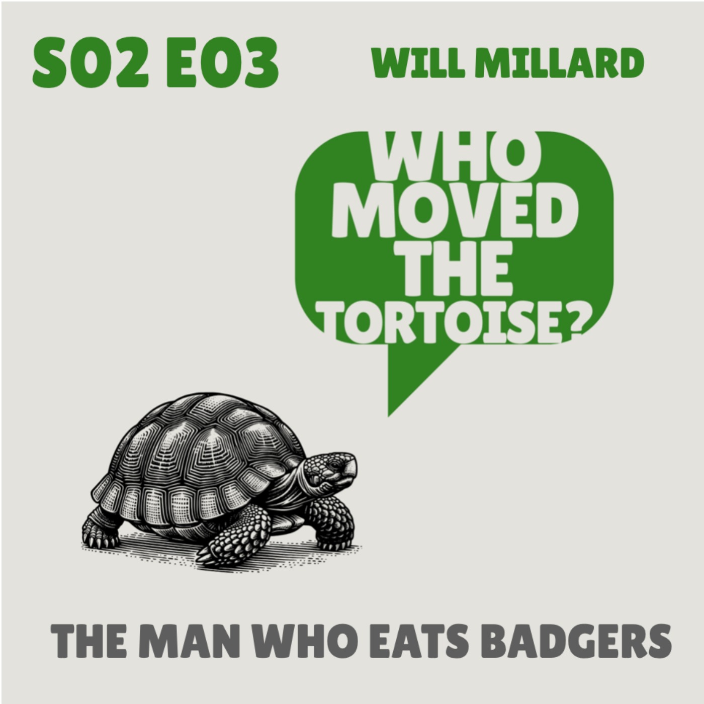 Who Moved the Tortoise?