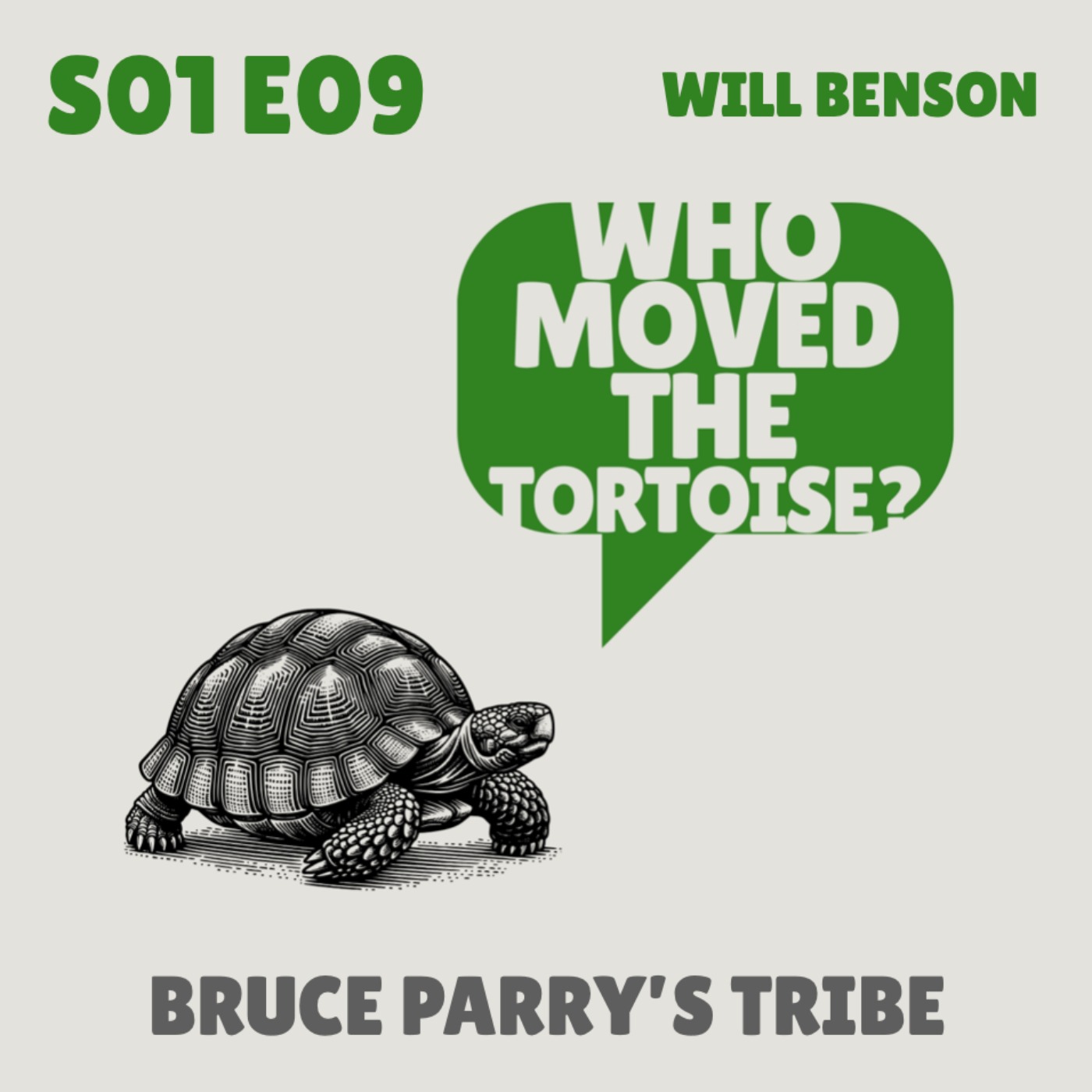 Who Moved the Tortoise?