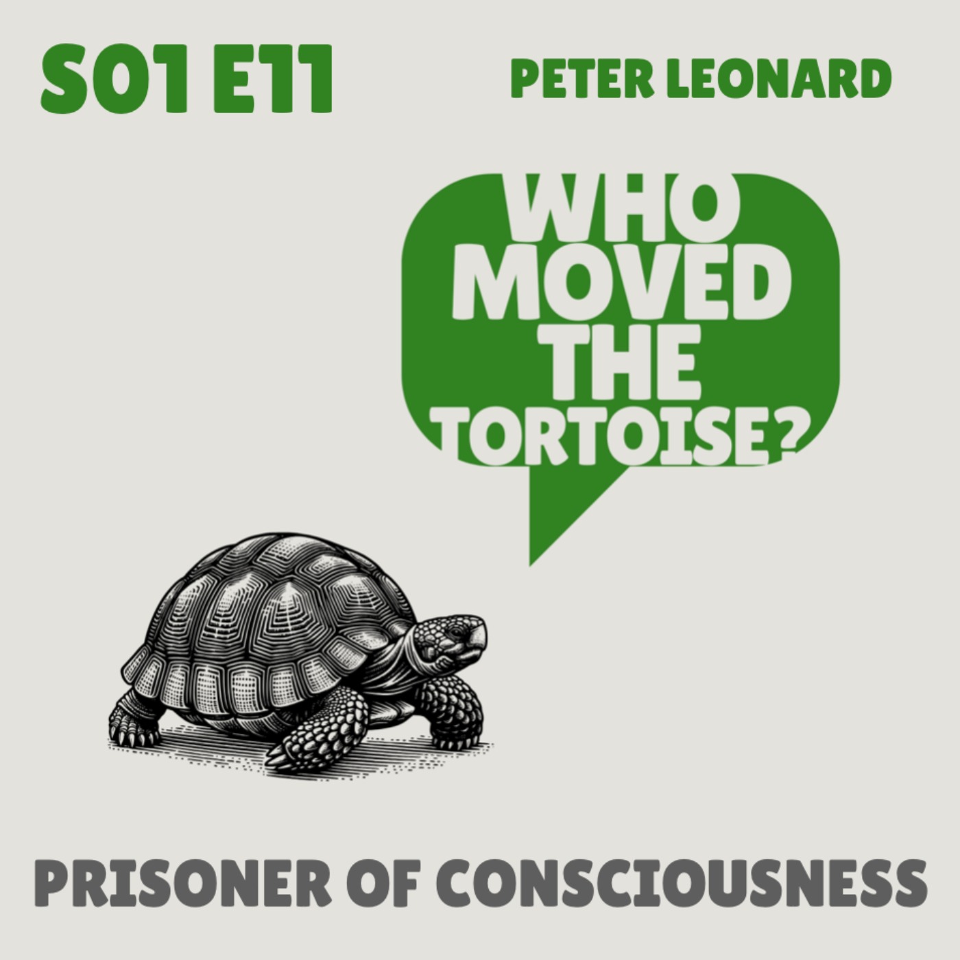Who Moved the Tortoise?