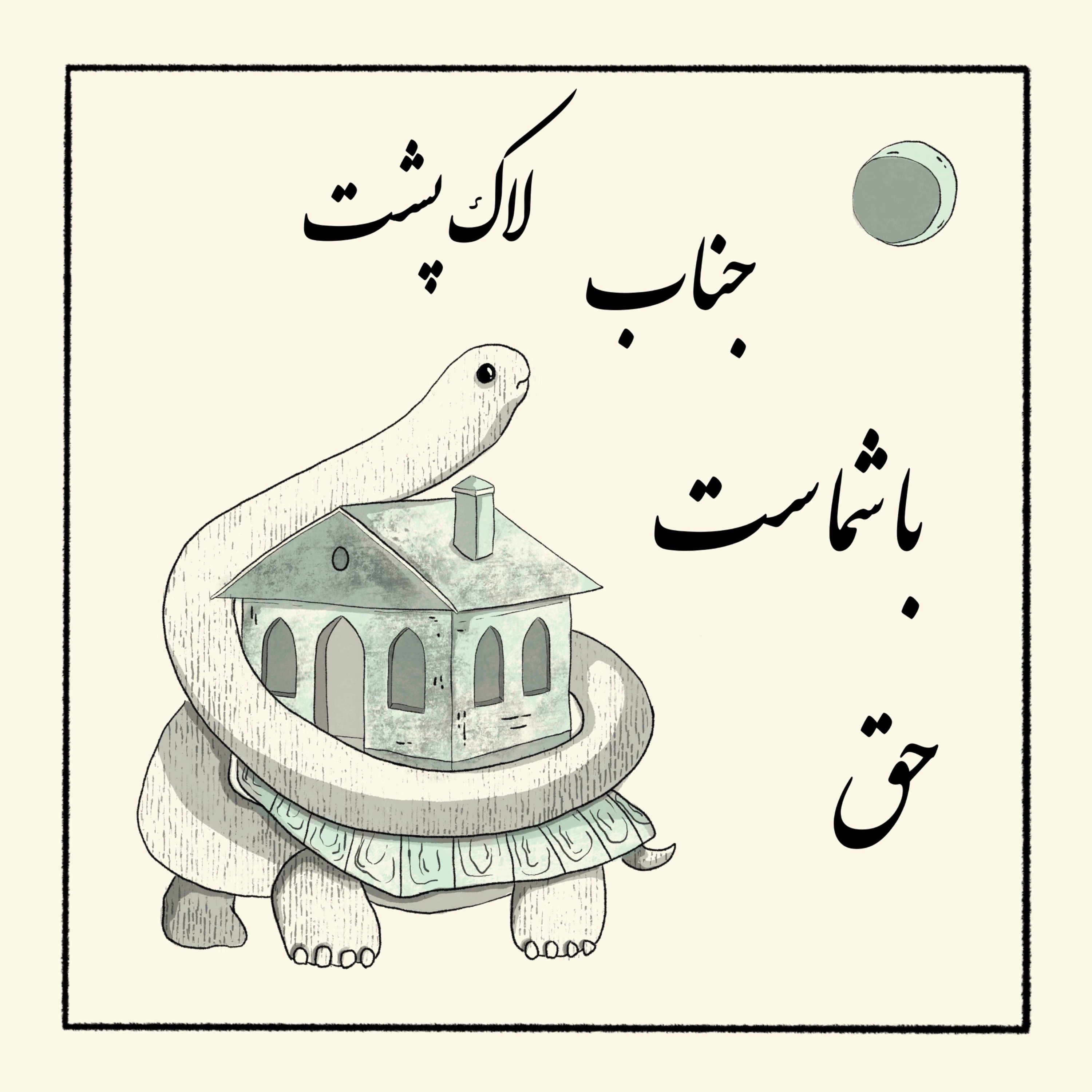 حق با شماست جناب لاک پشت