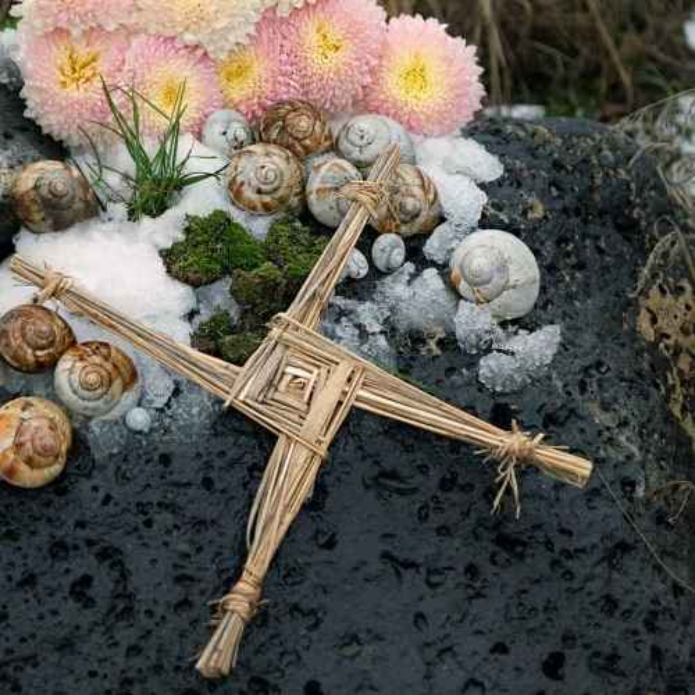 Episode 80: Imbolc - Groundhogs, Goddesses, and the First Hint of Spring