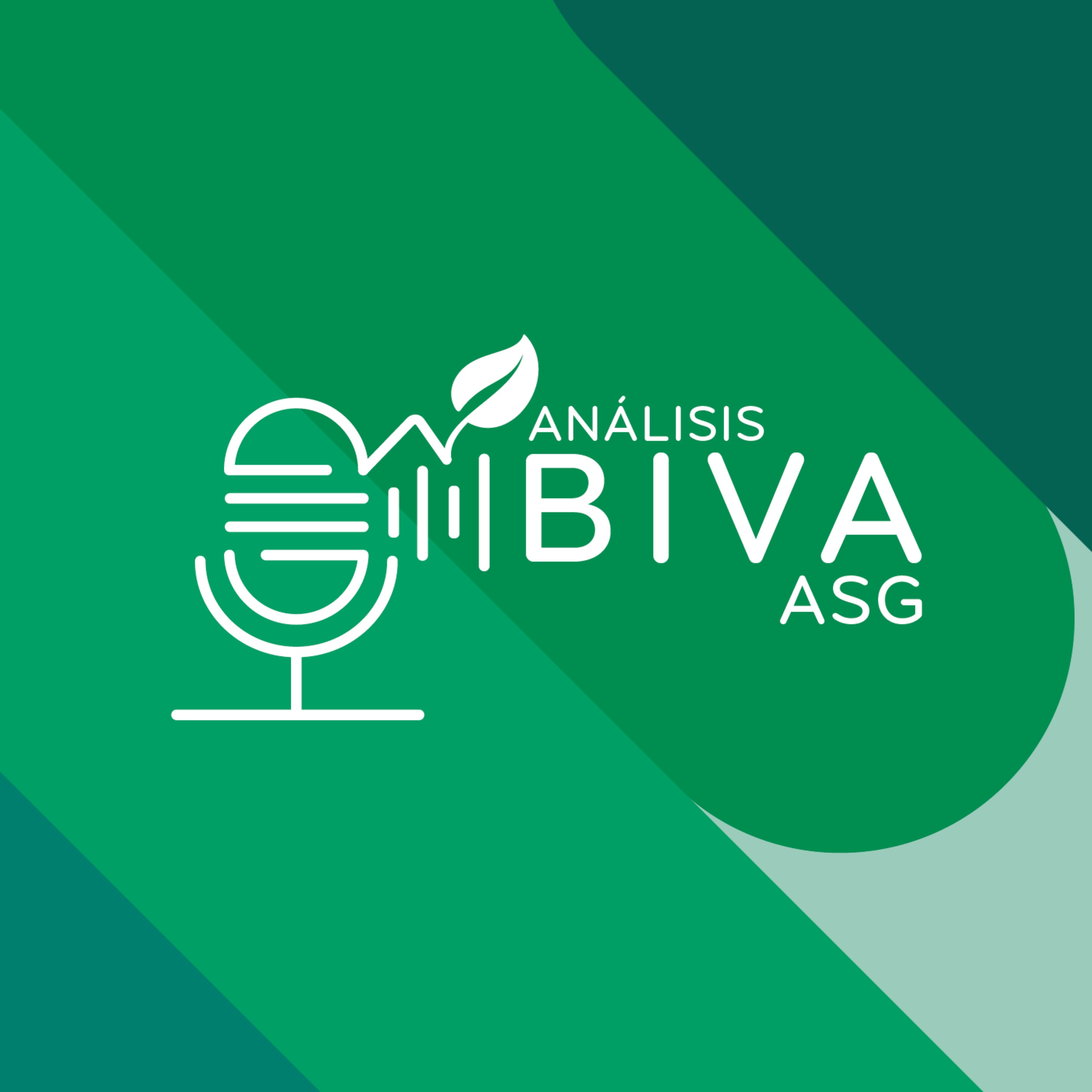 Análisis BIVA