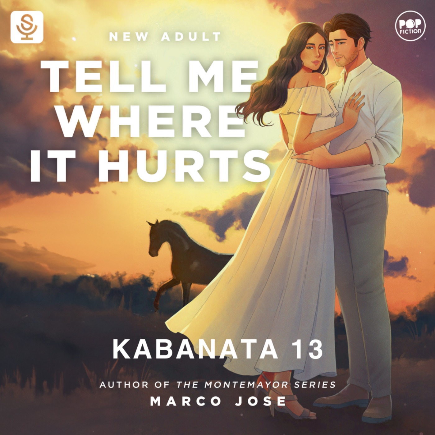 Tell Me Where It Hurts by Marco Jose | Audiobook Series