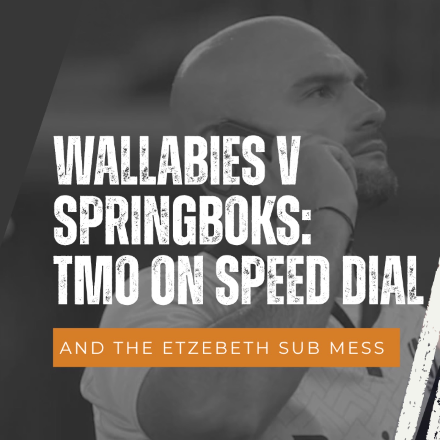 Wallabies v Springboks: TMO on Speed Dial episode artwork