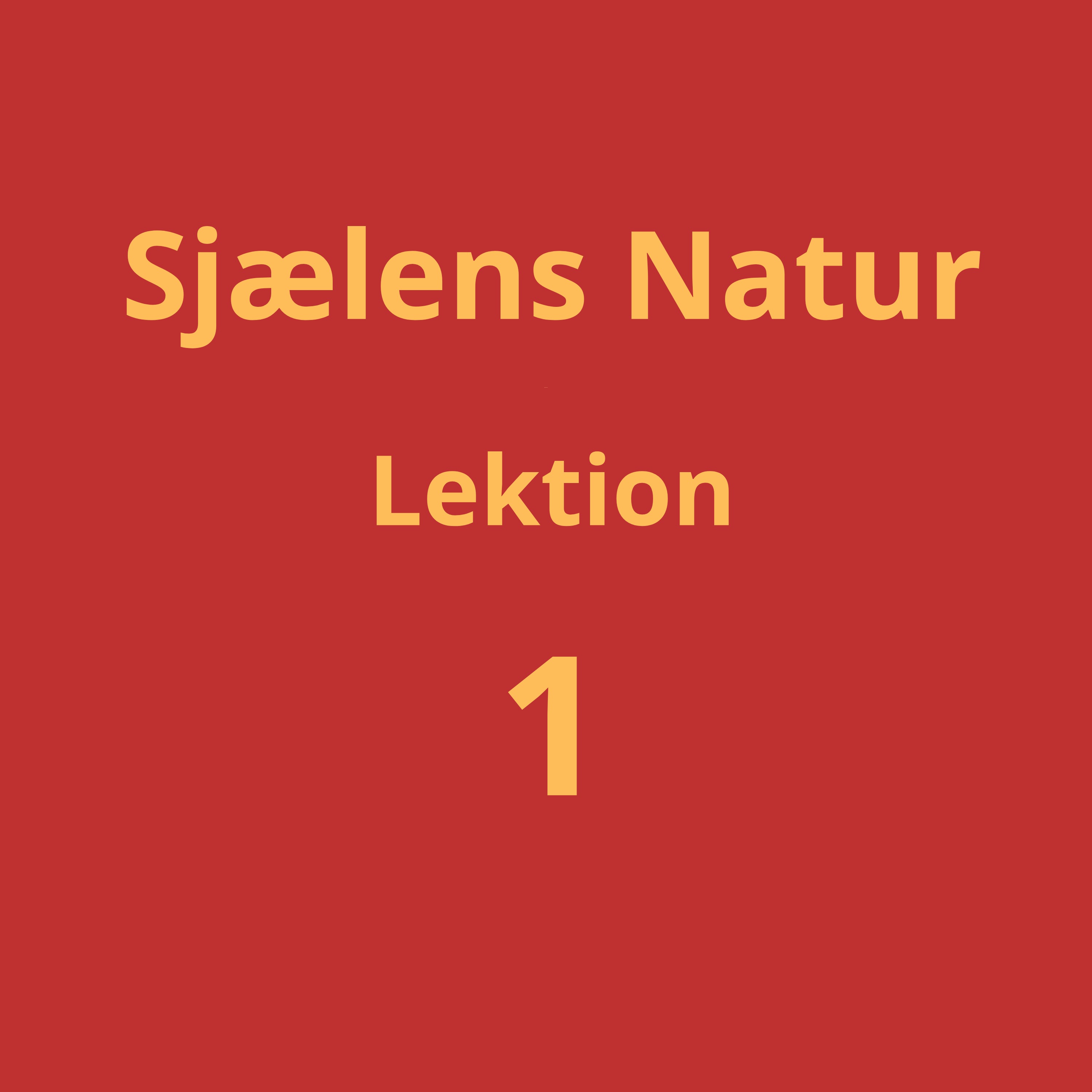 Lektion 1