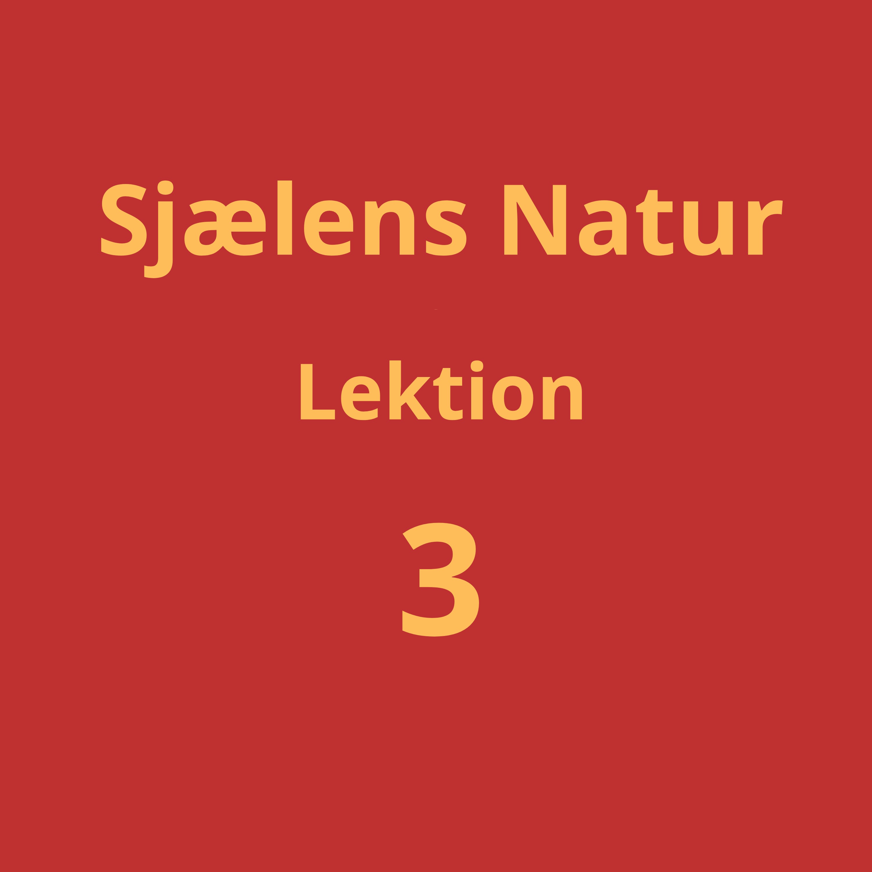 Lektion 3