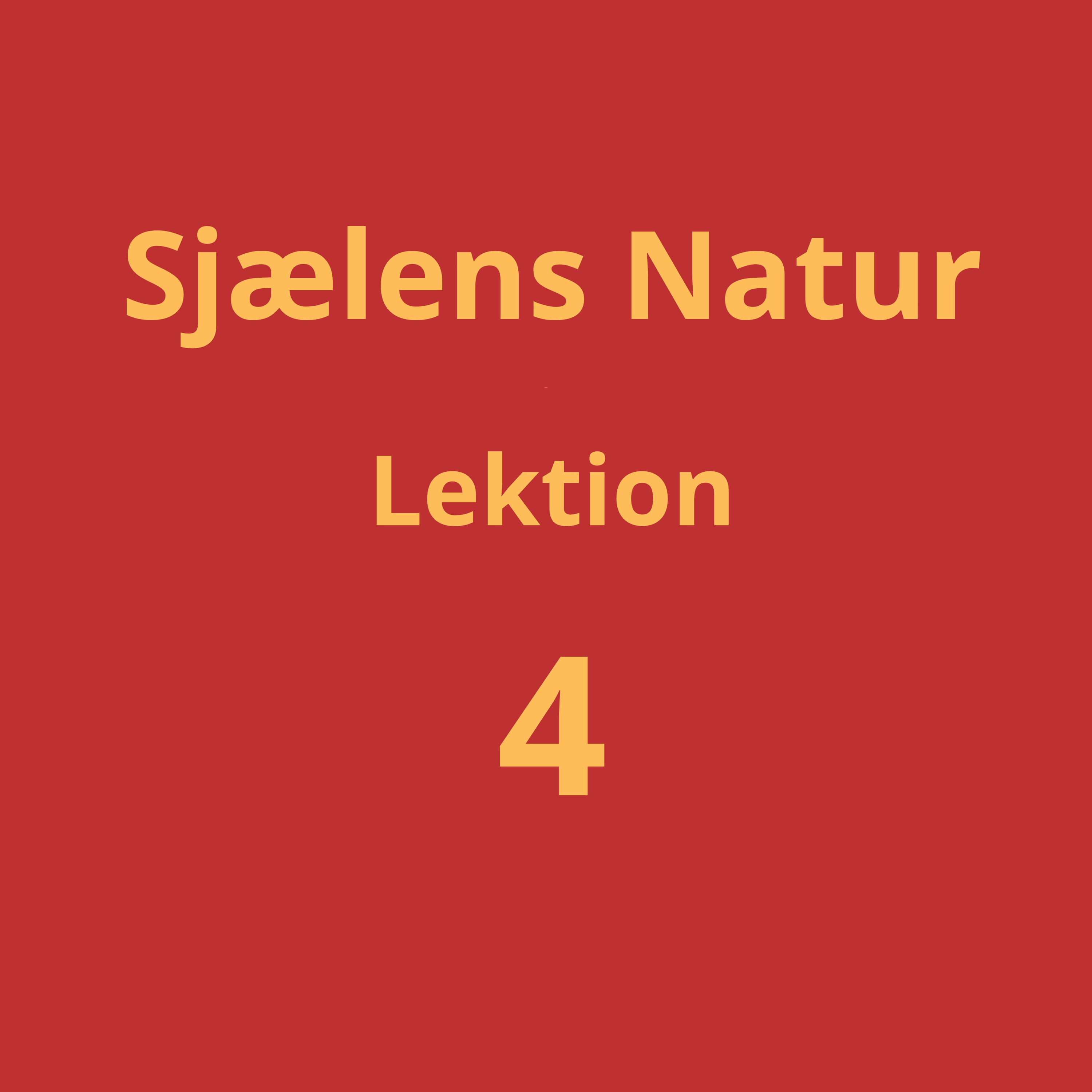 Lektion 4