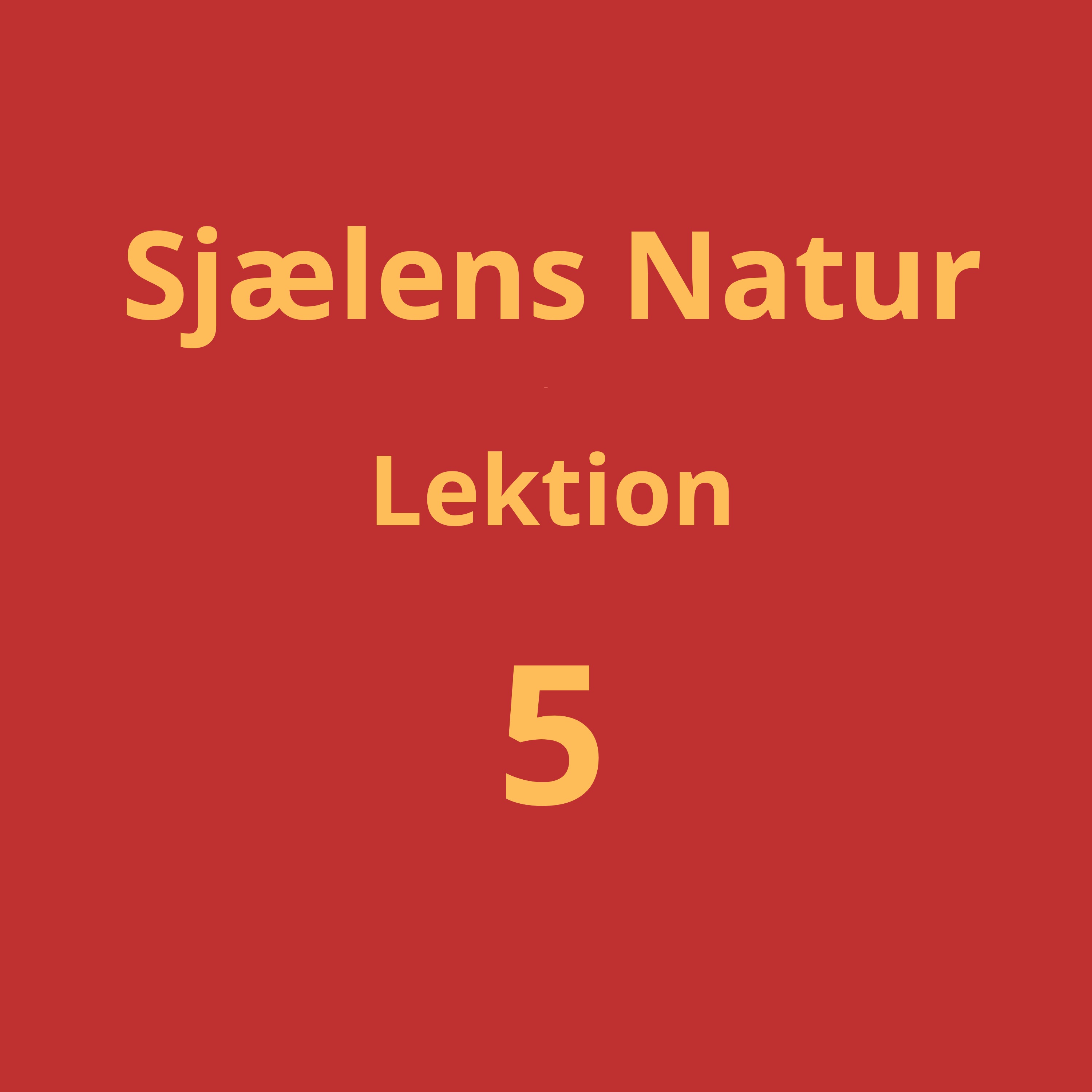 Lektion 5