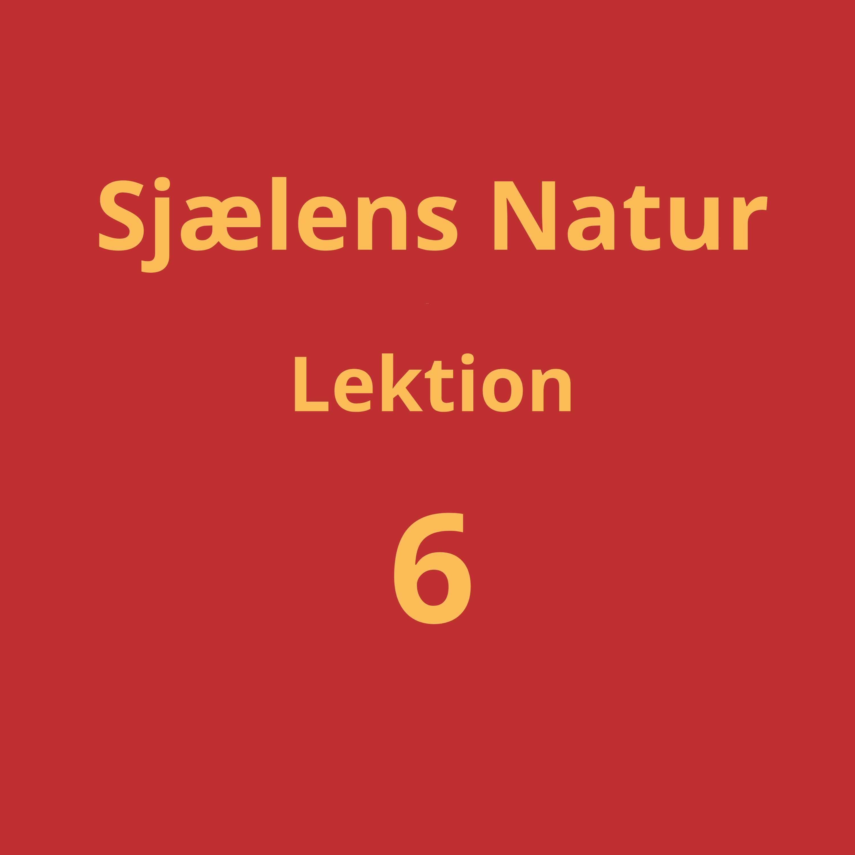 Lektion 6