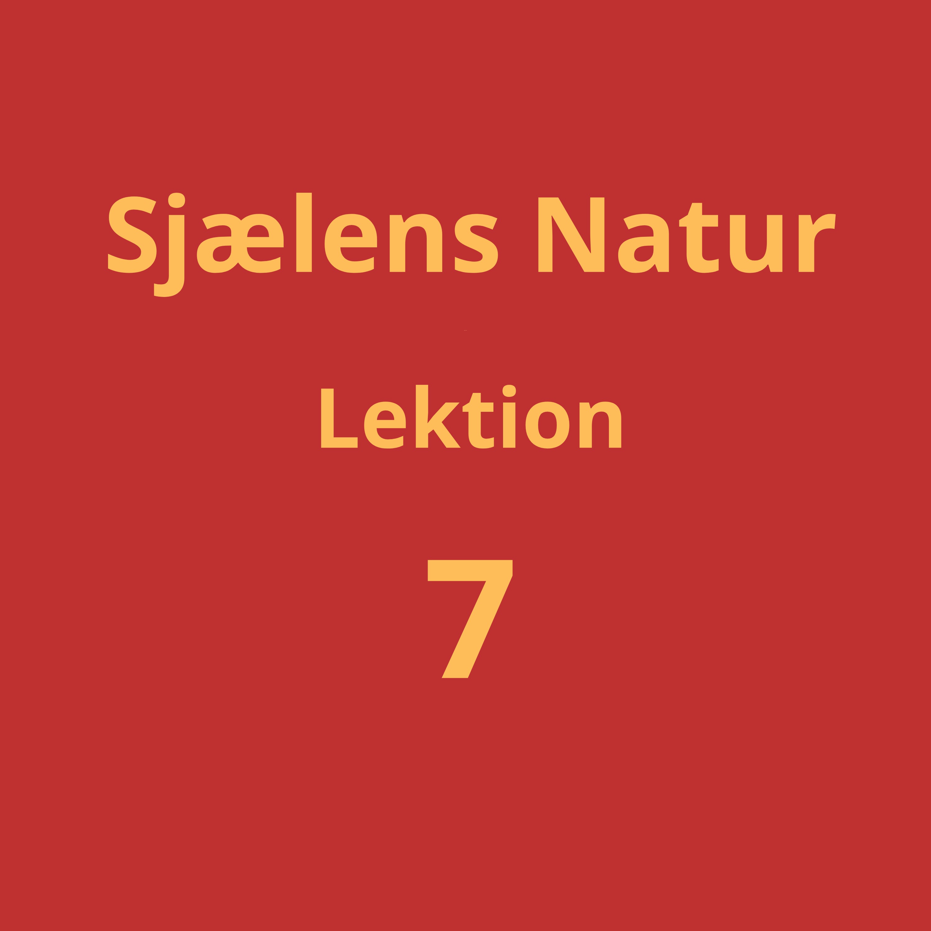 Lektion 7