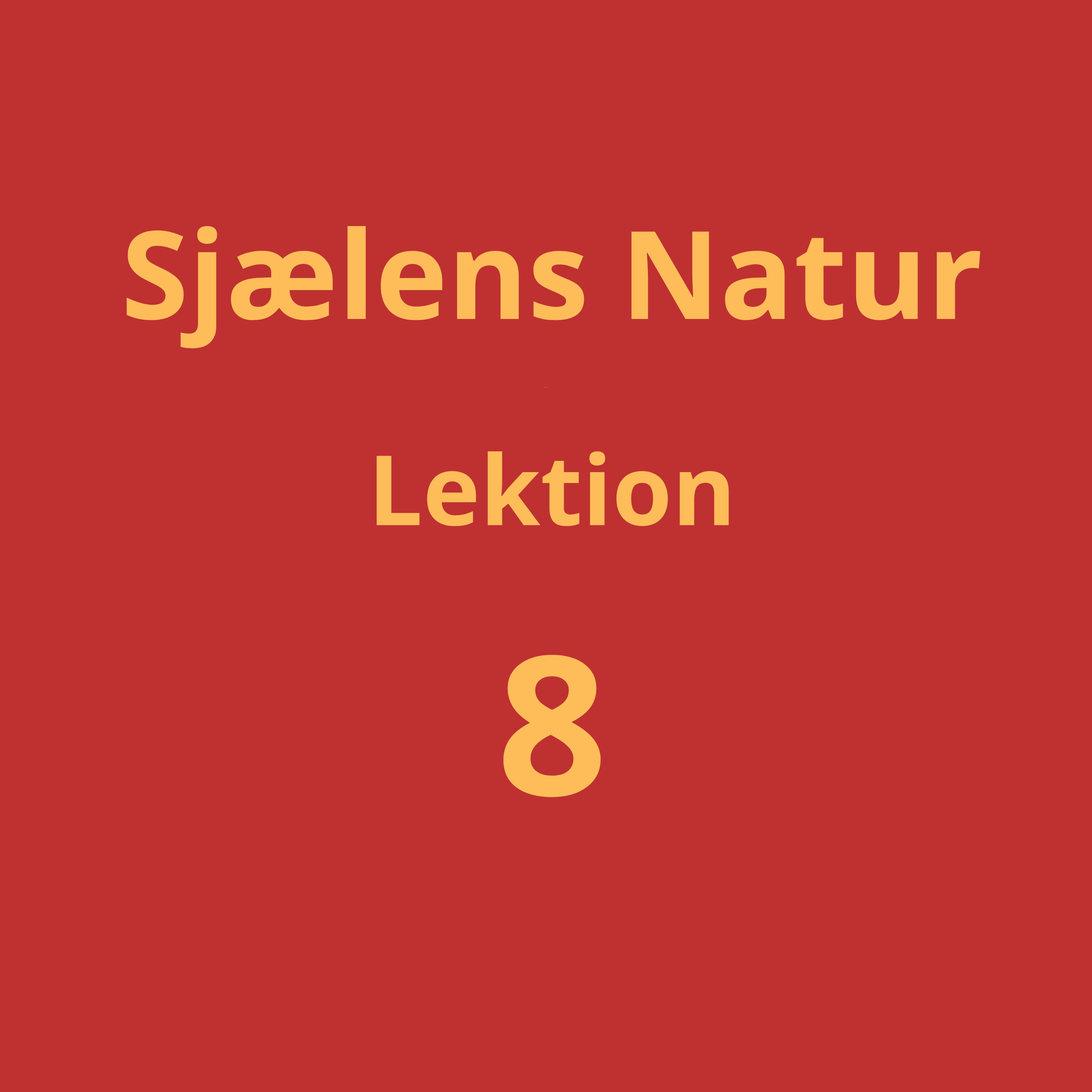Lektion 8