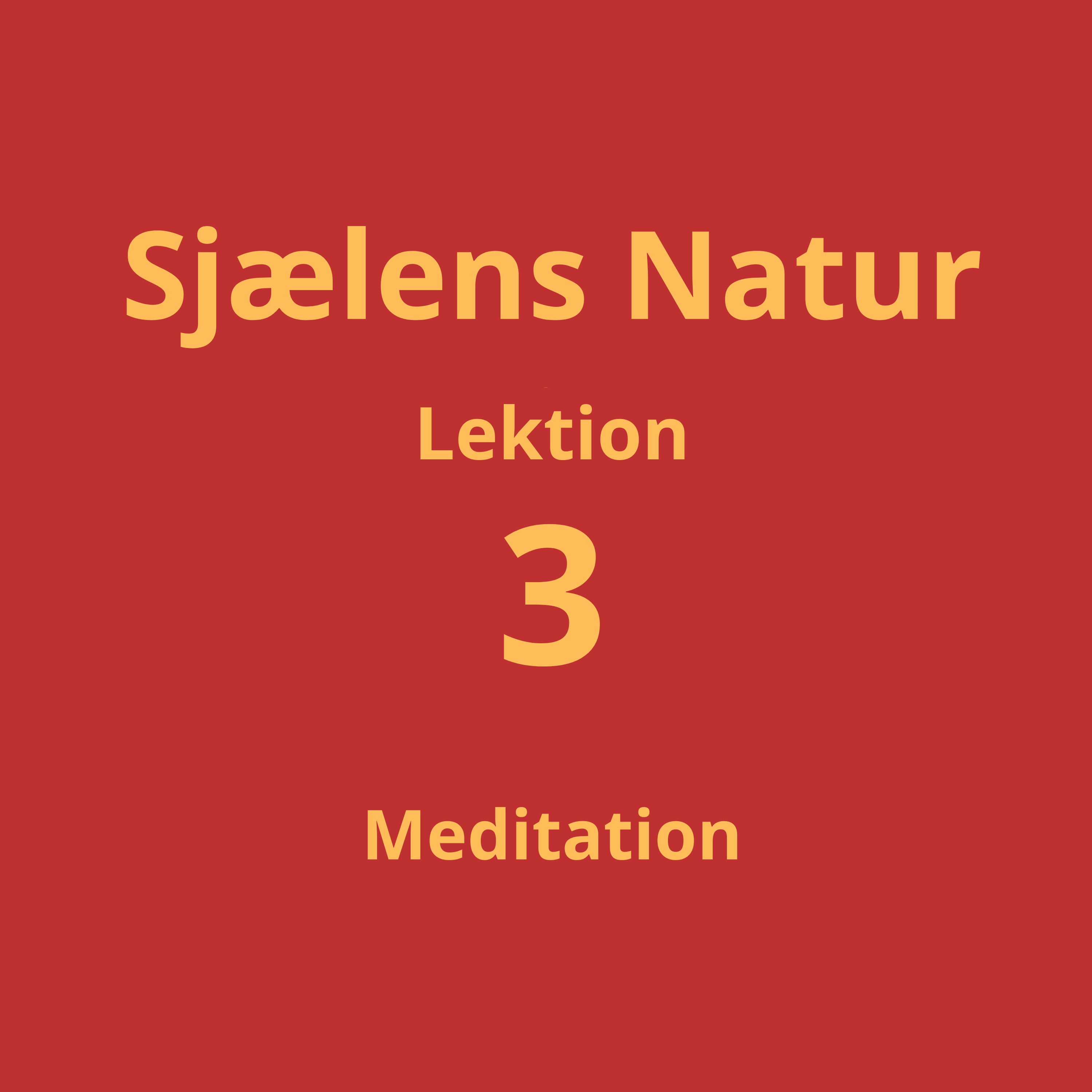 Lektion 3 - meditation