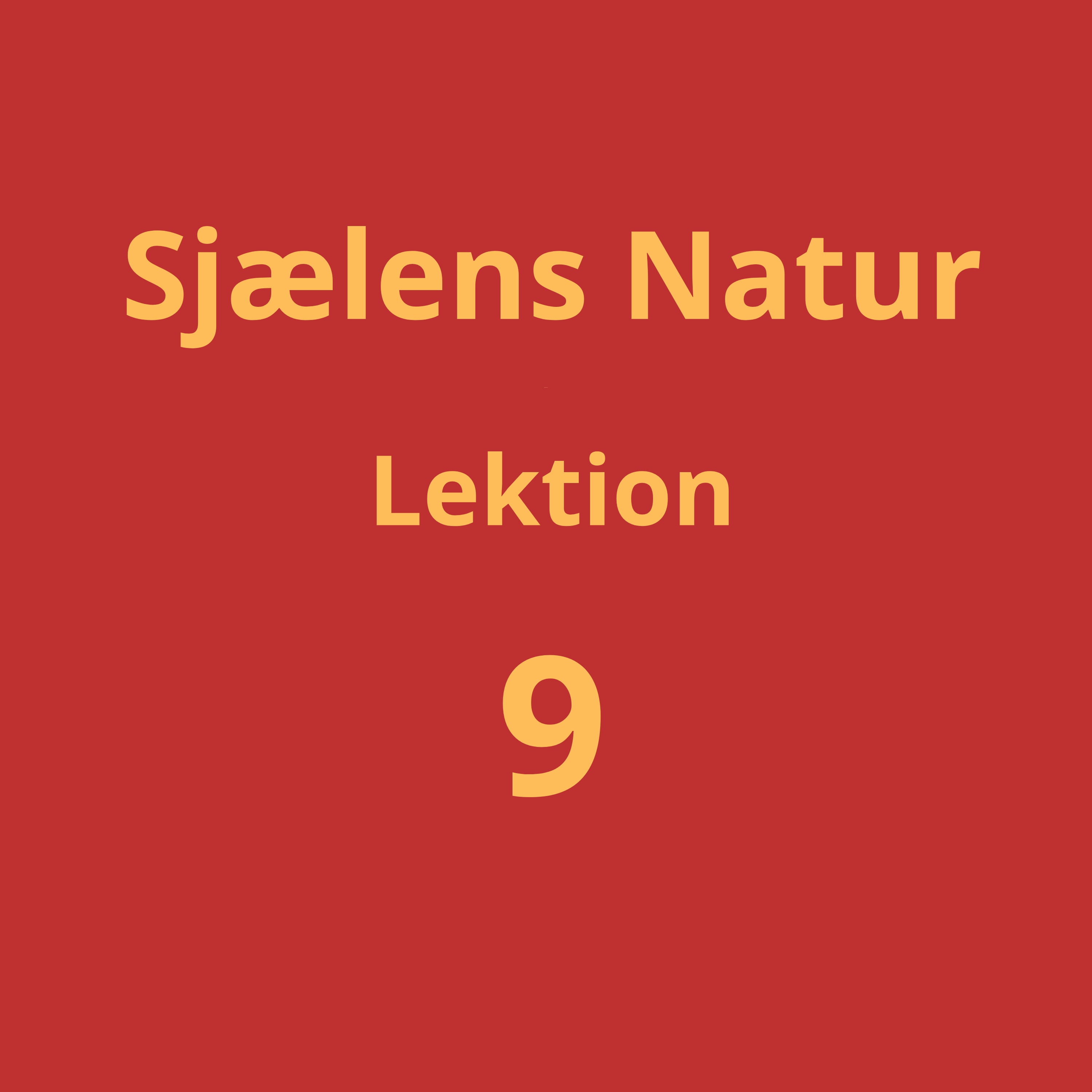 Lektion 9