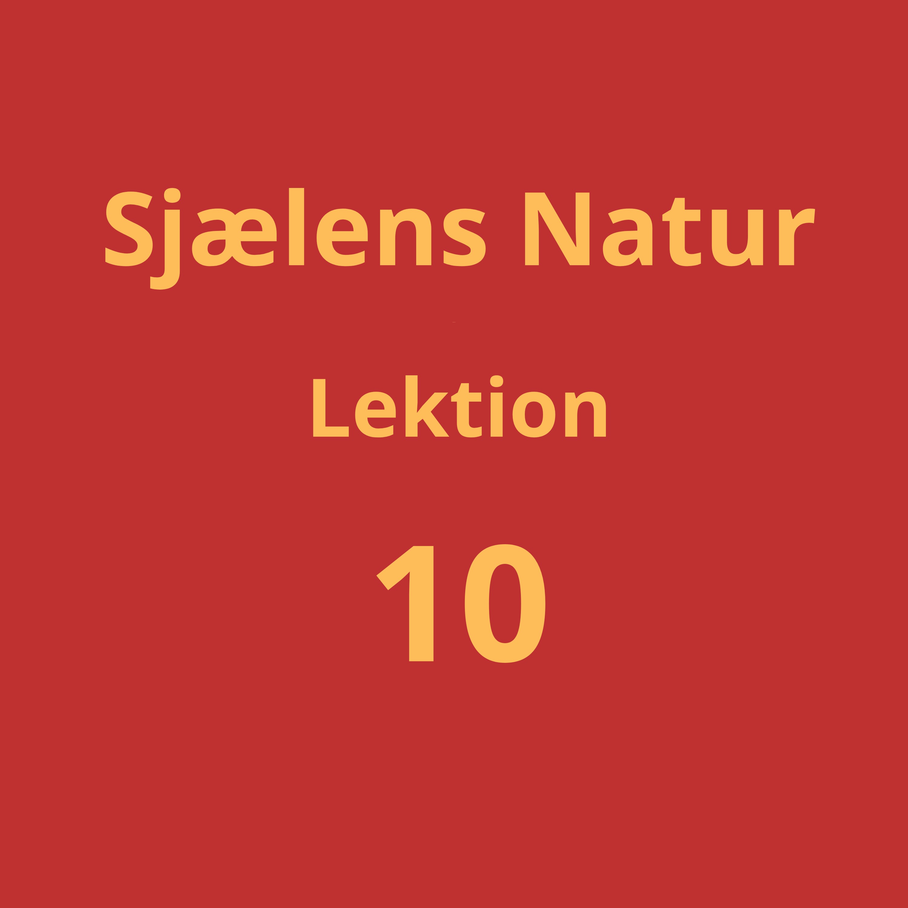 Lektion 10