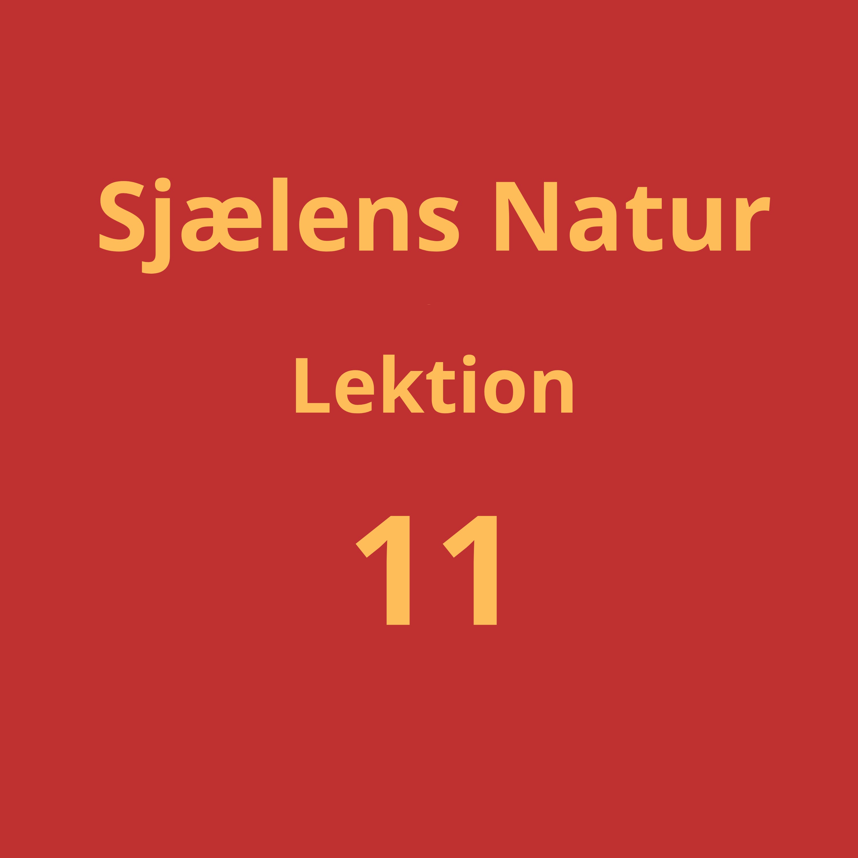 Lektion 11
