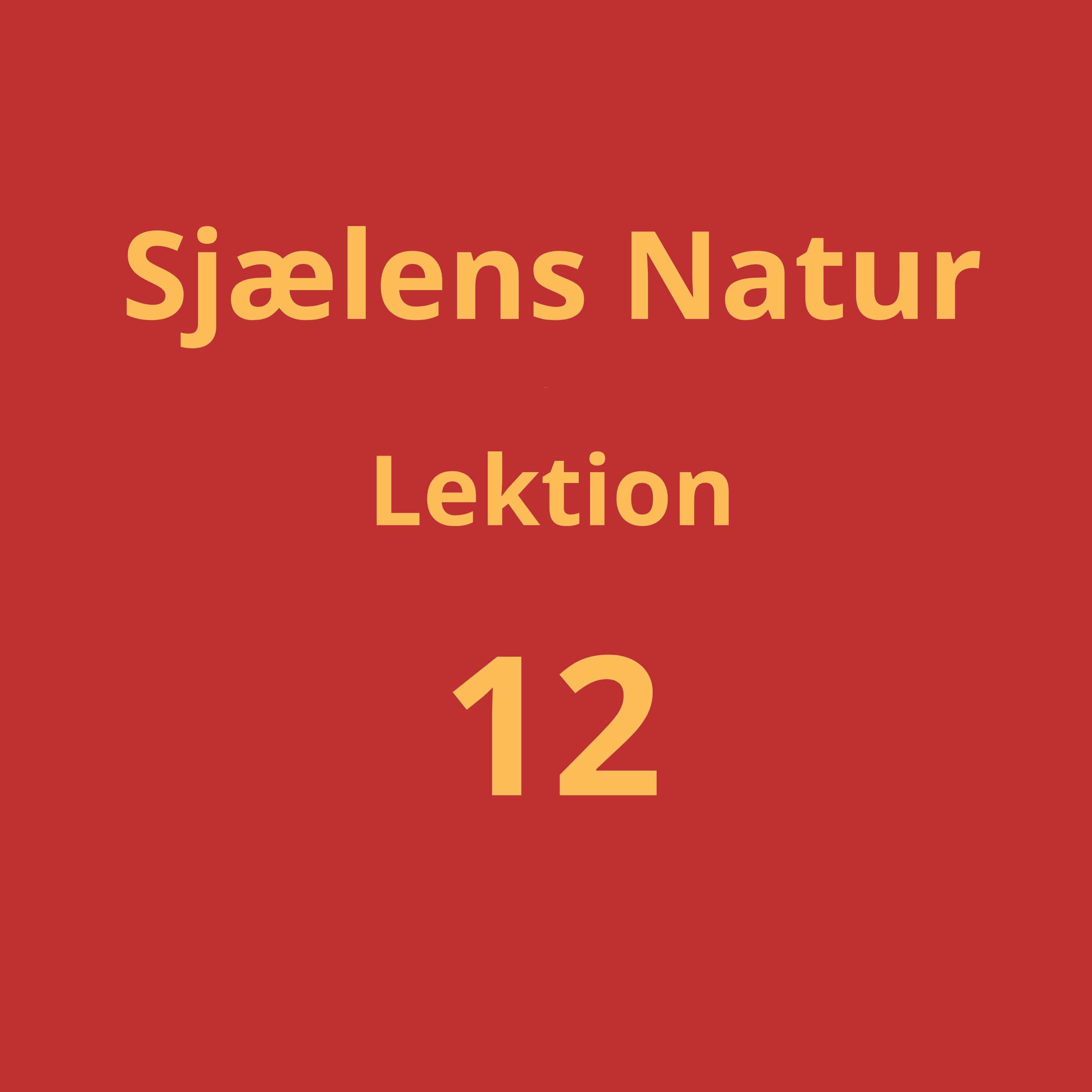 Lektion 12