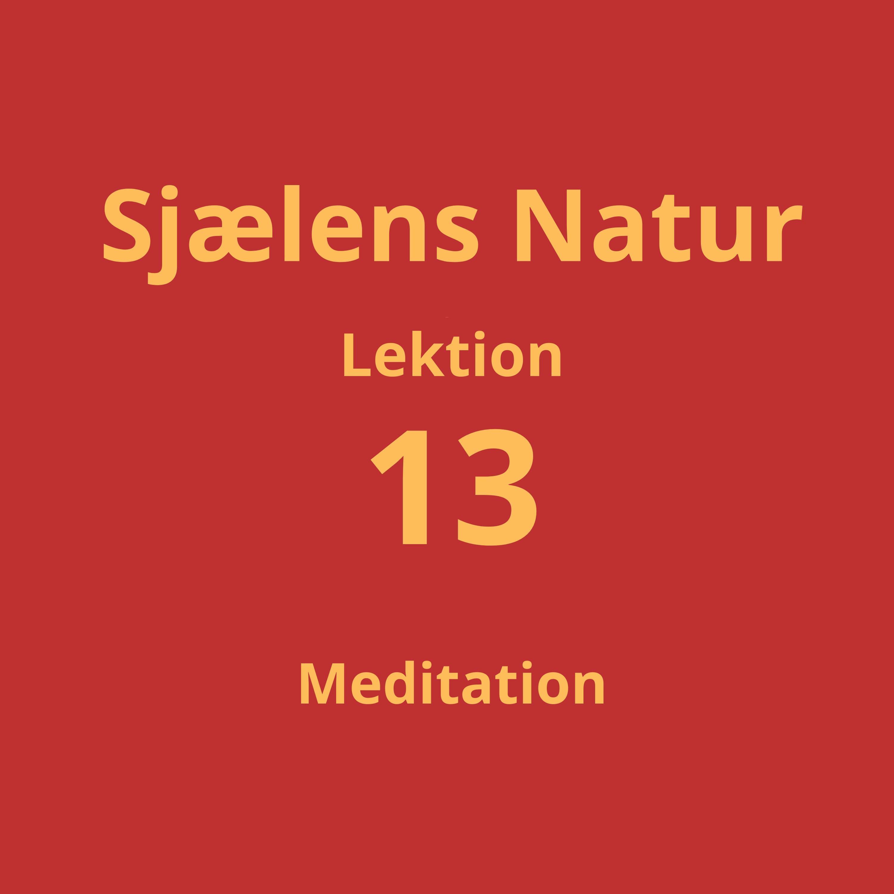 Lektion 13 - meditation