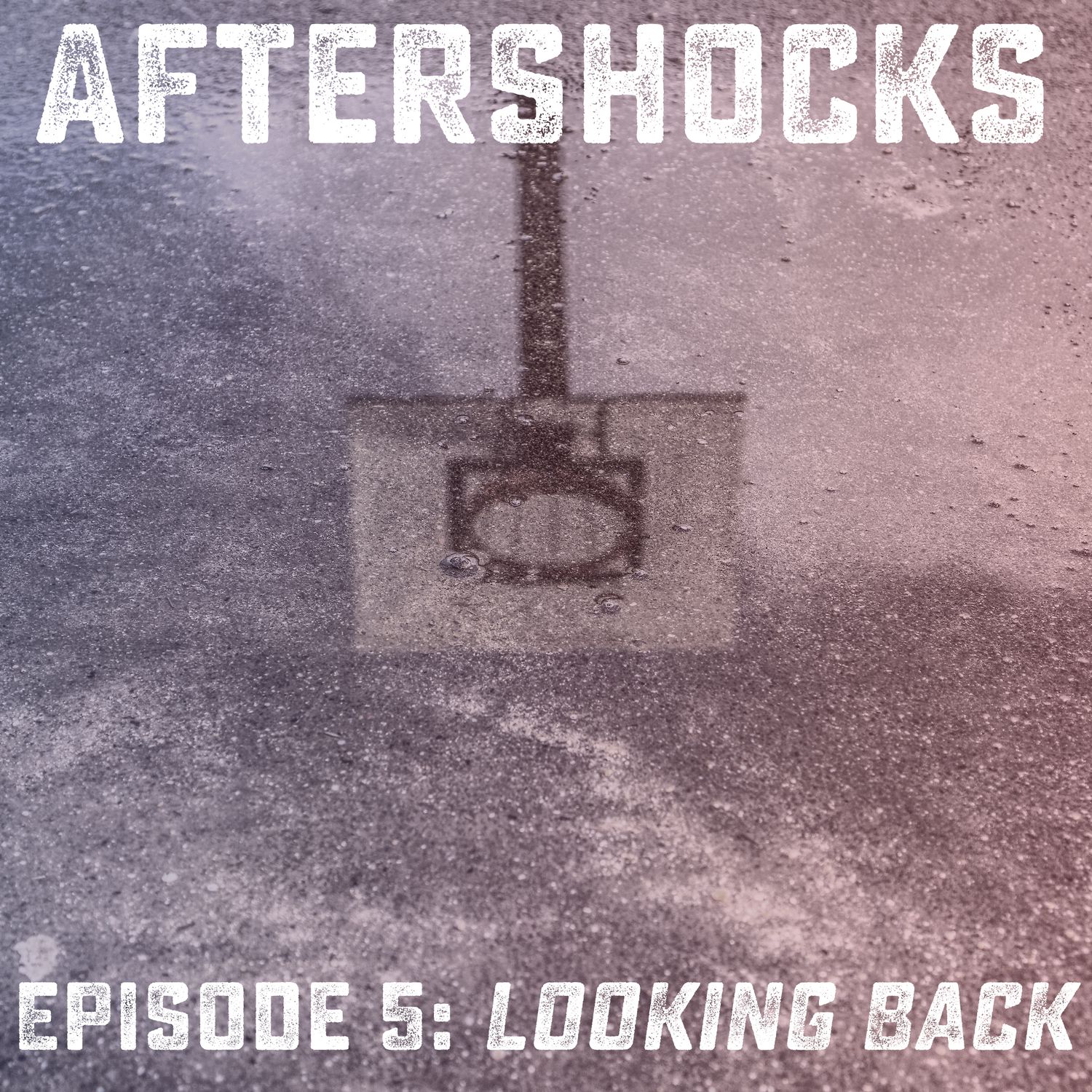 1.05: Looking Back
