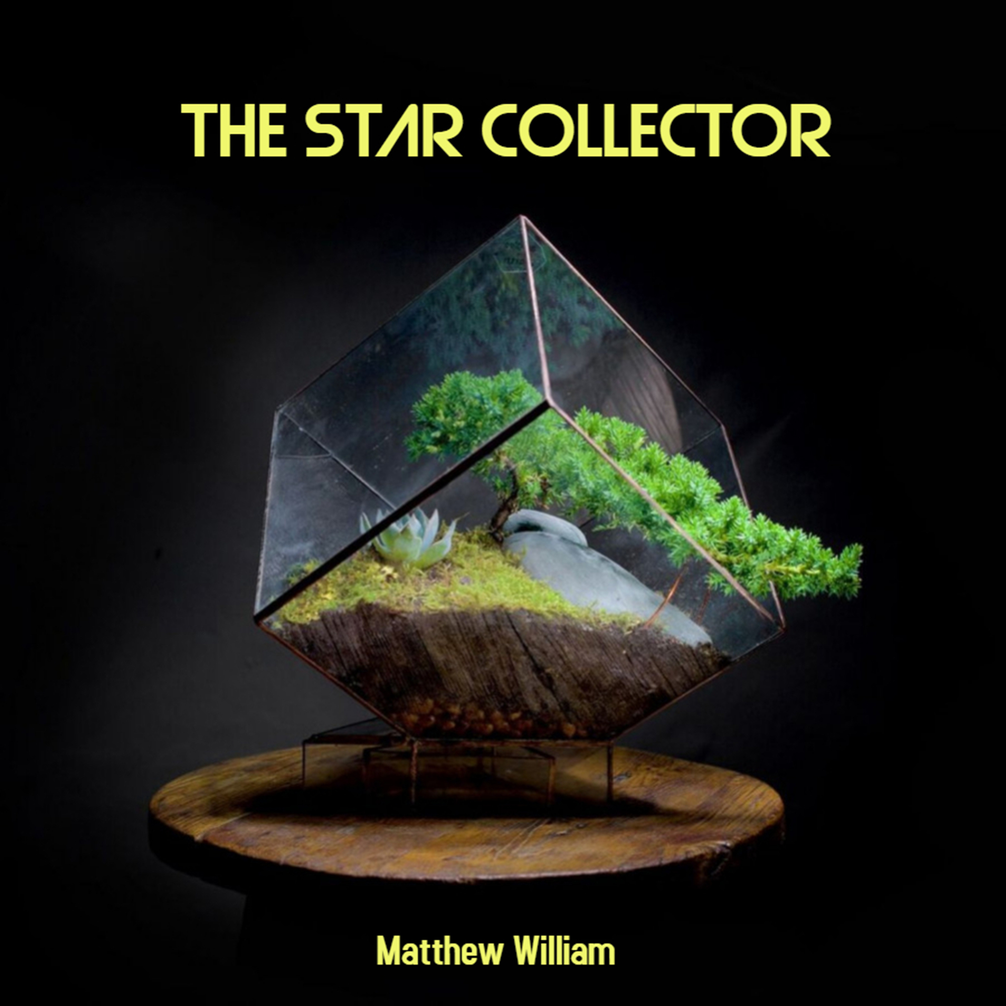 The Star Collector:Midnight Disease Productions