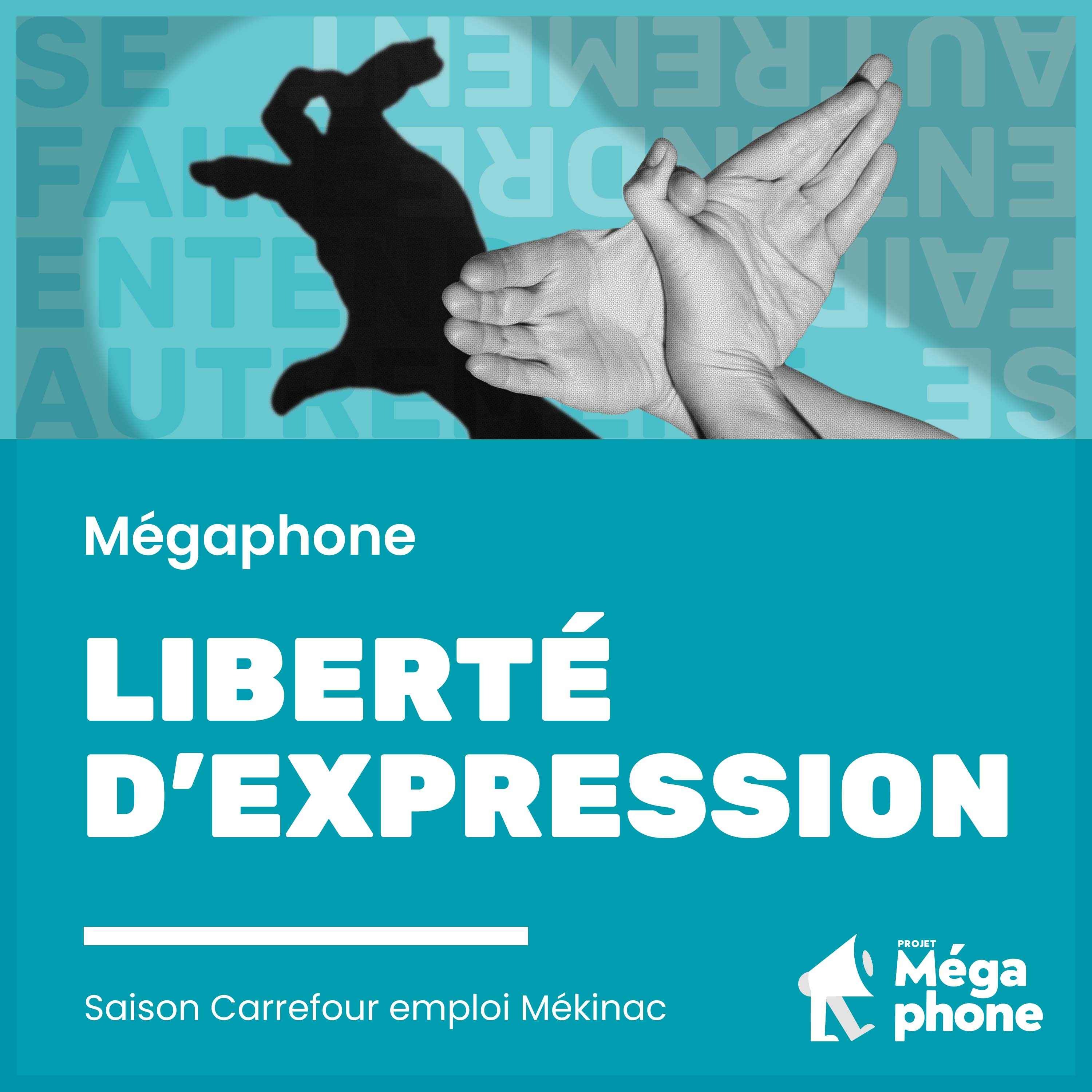 S17E5 - Liberté d'expression