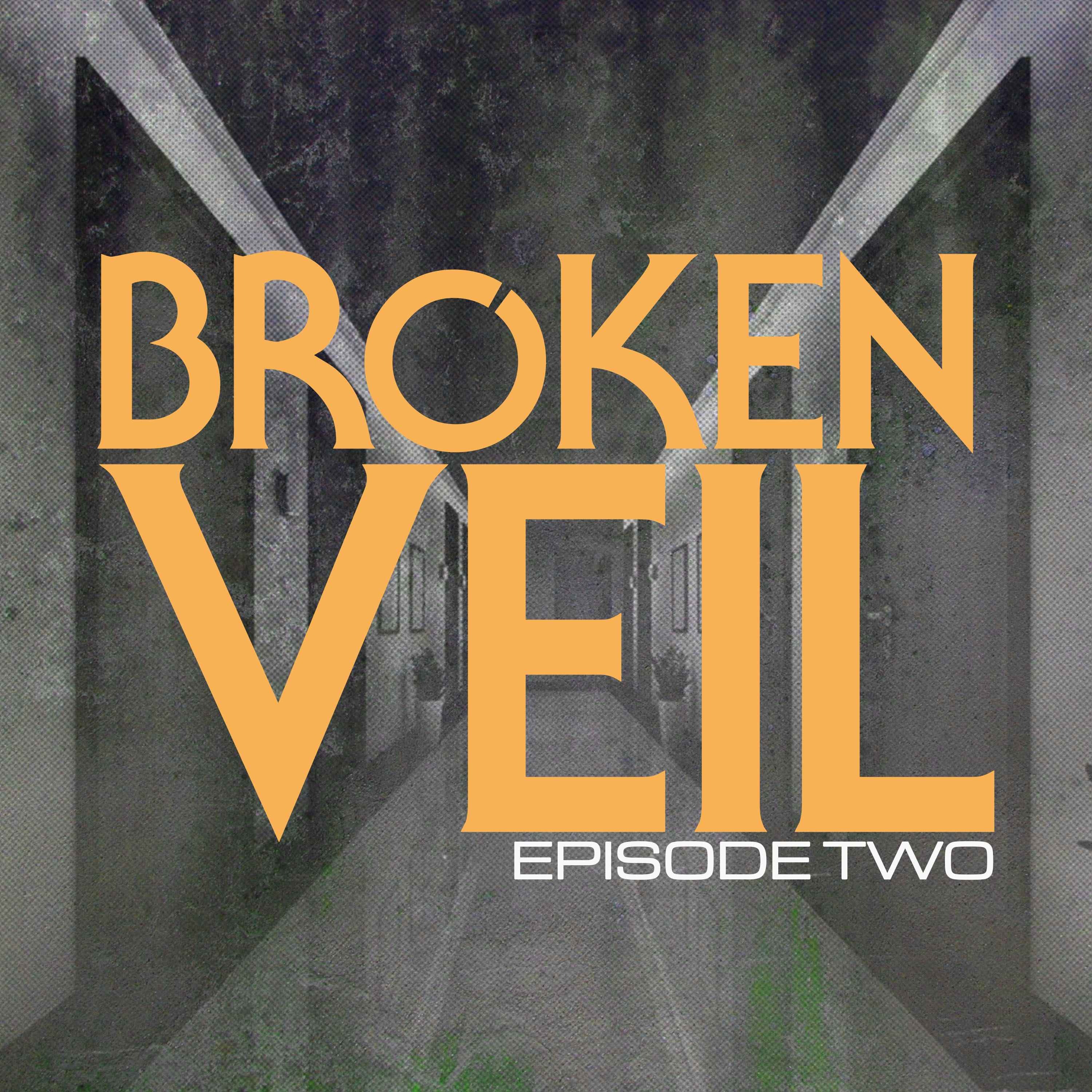 American Plugs artwork