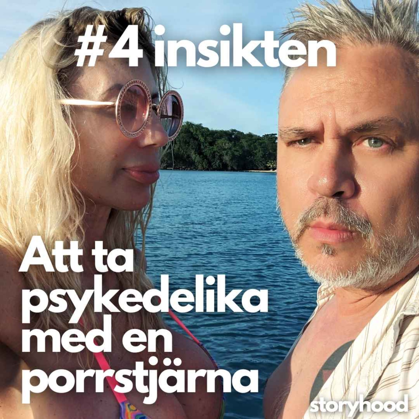 #4 - Insikten episode artwork
