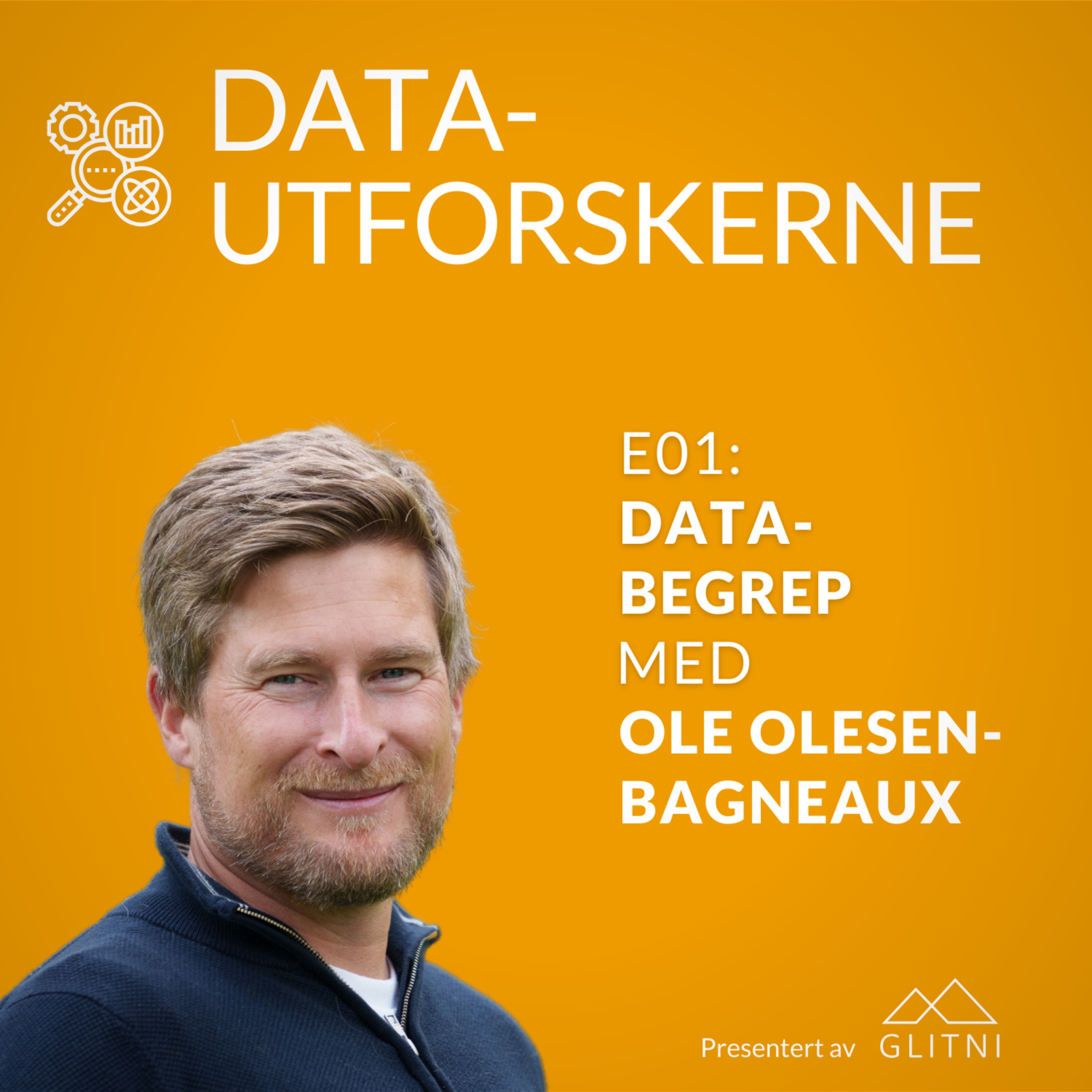 Datautforskerne