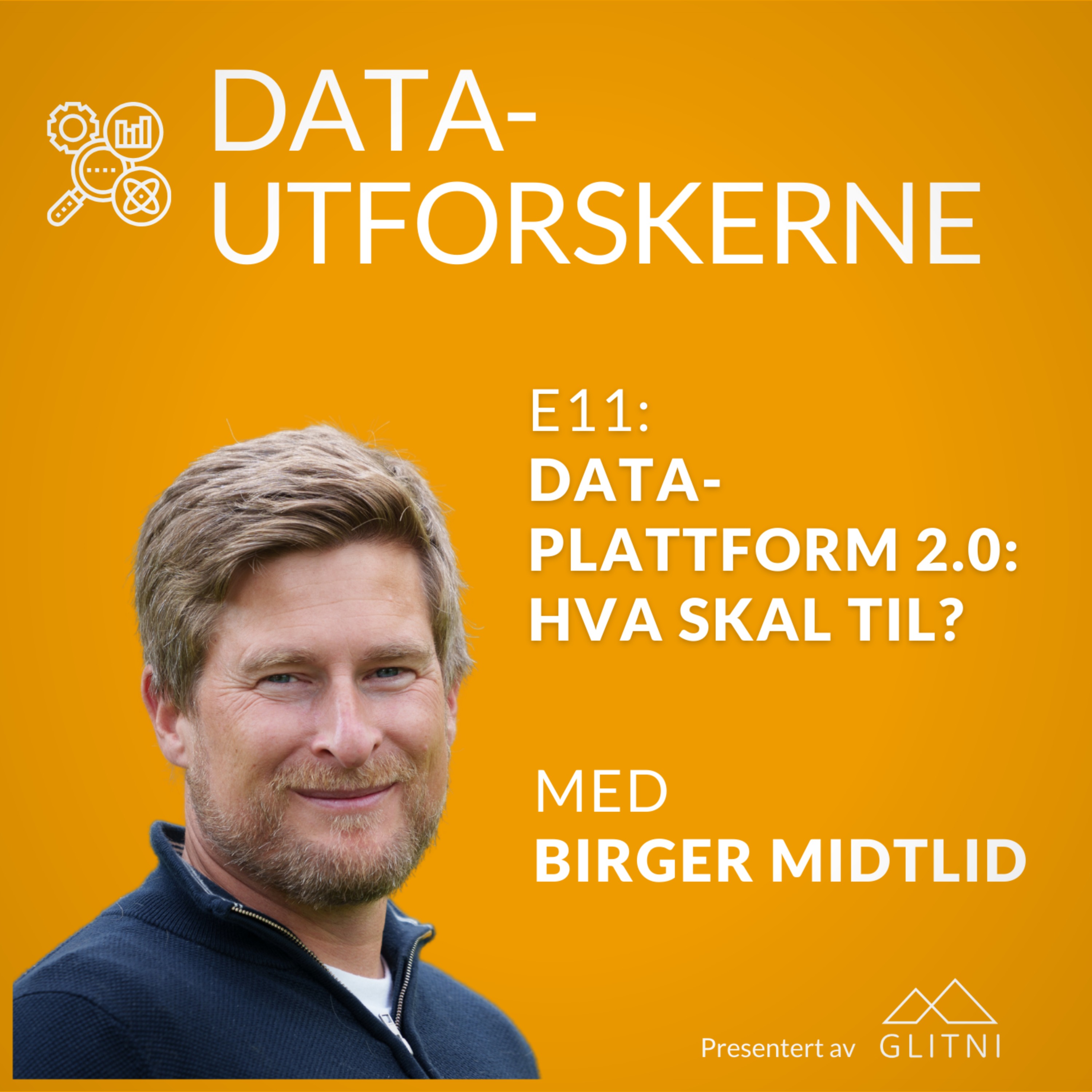 Datautforskerne