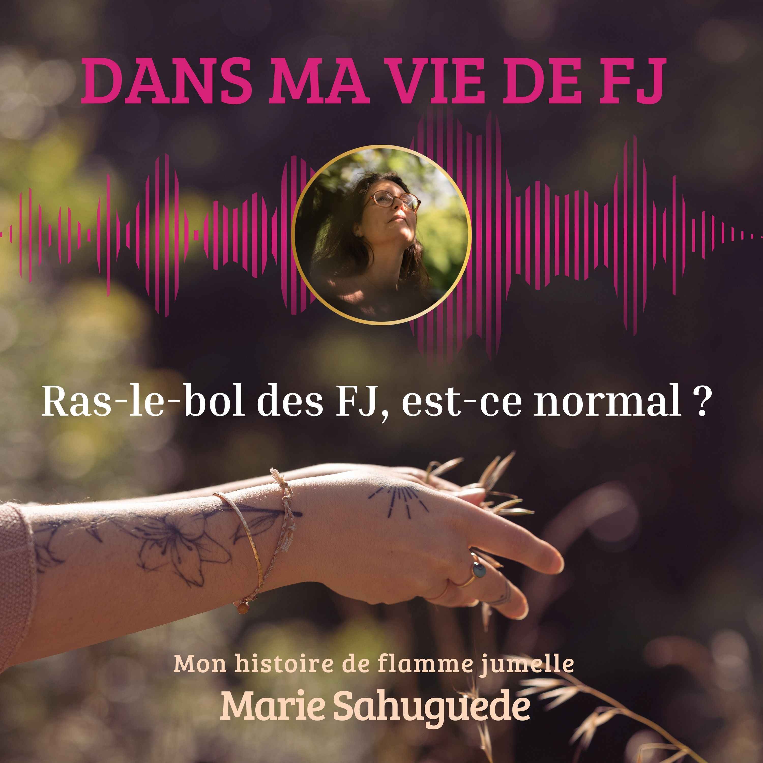 Dans ma vie de FJ