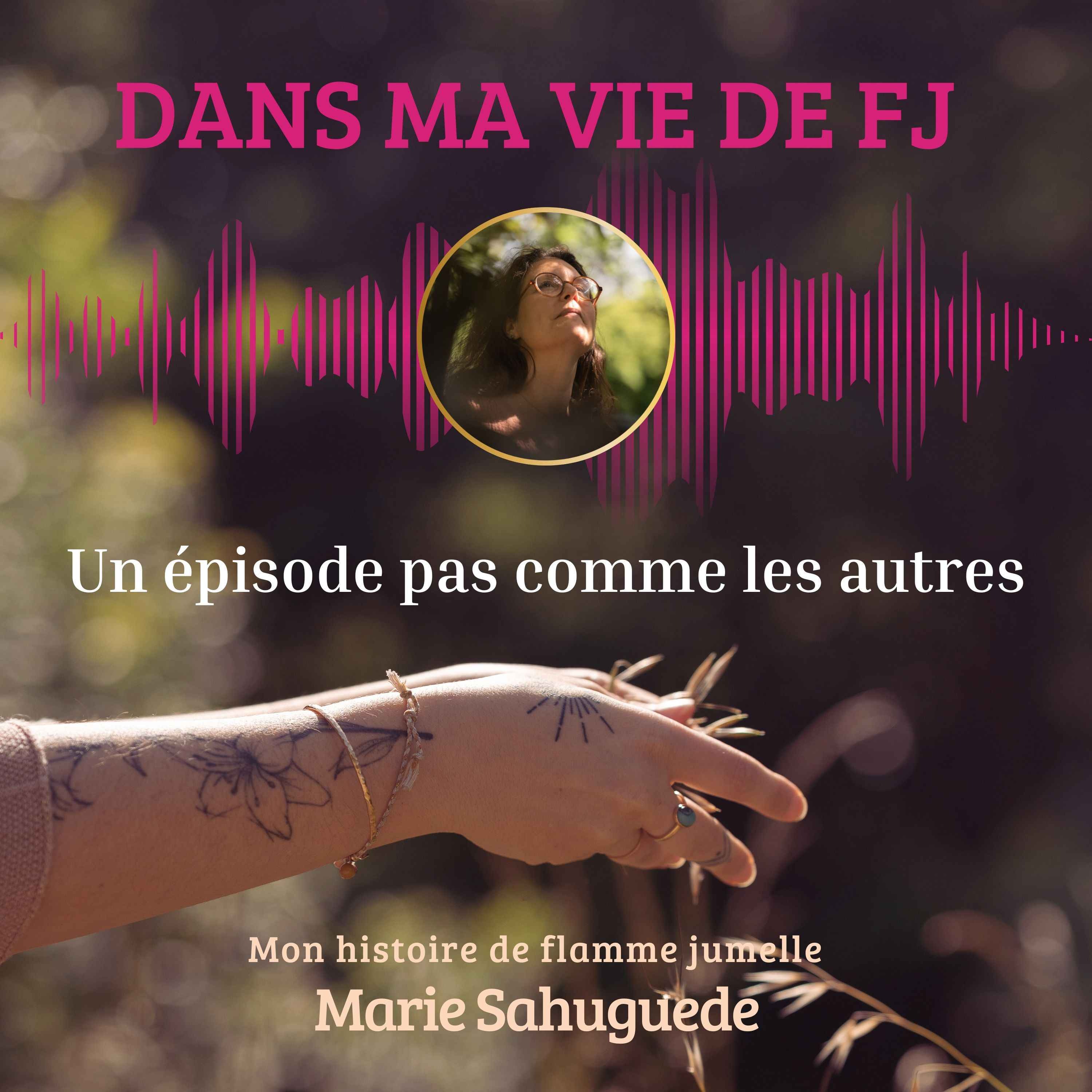Dans ma vie de FJ