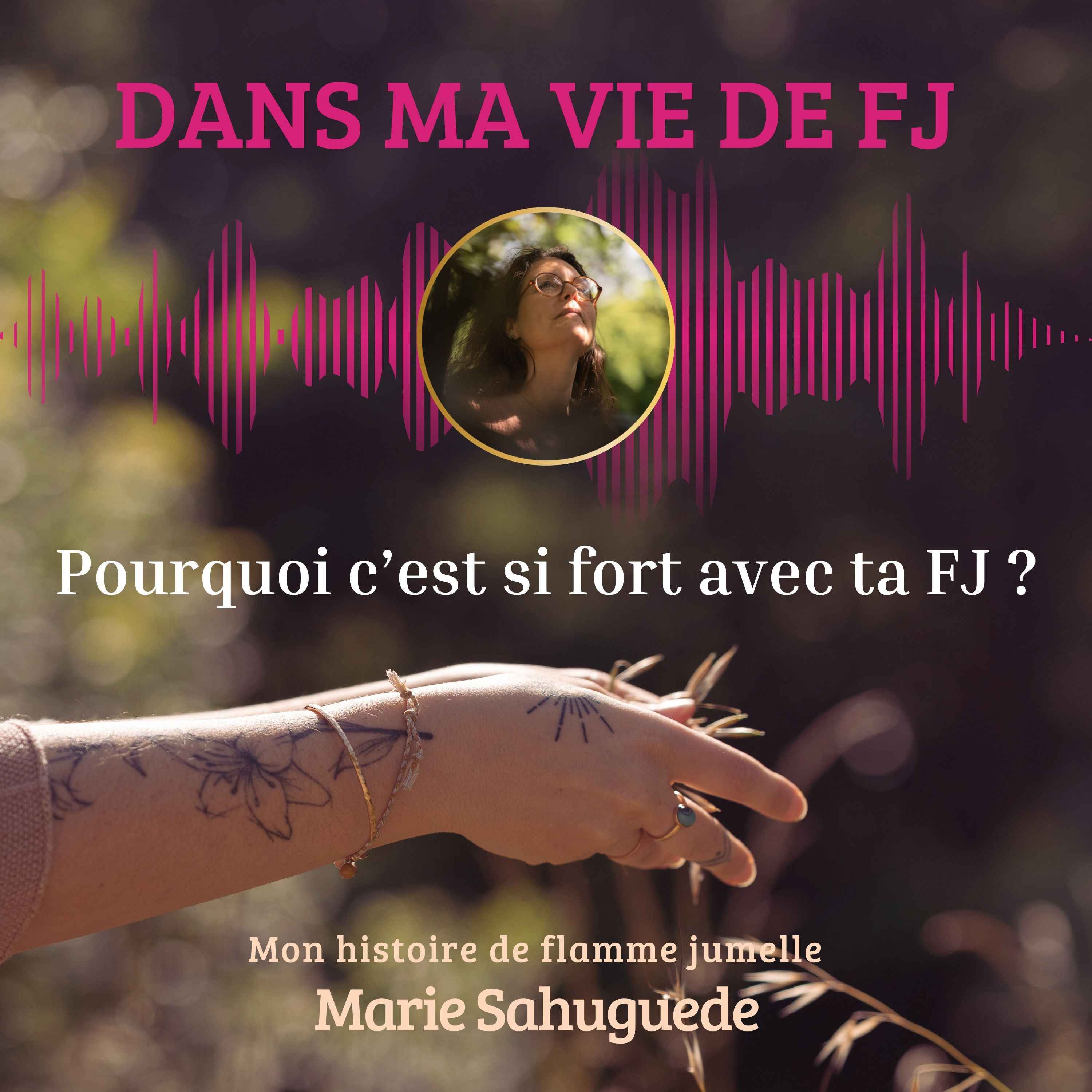 Dans ma vie de FJ