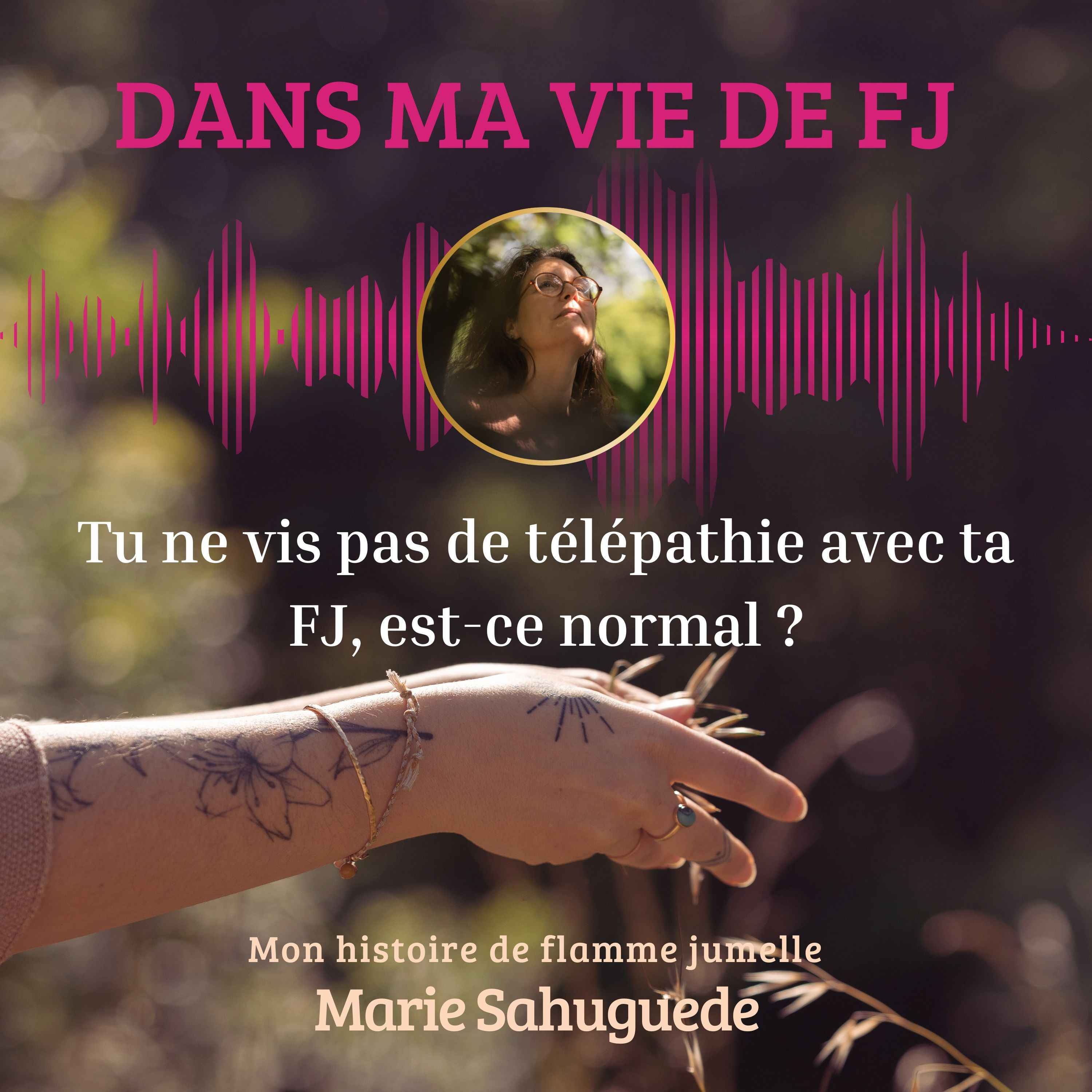 Dans ma vie de FJ