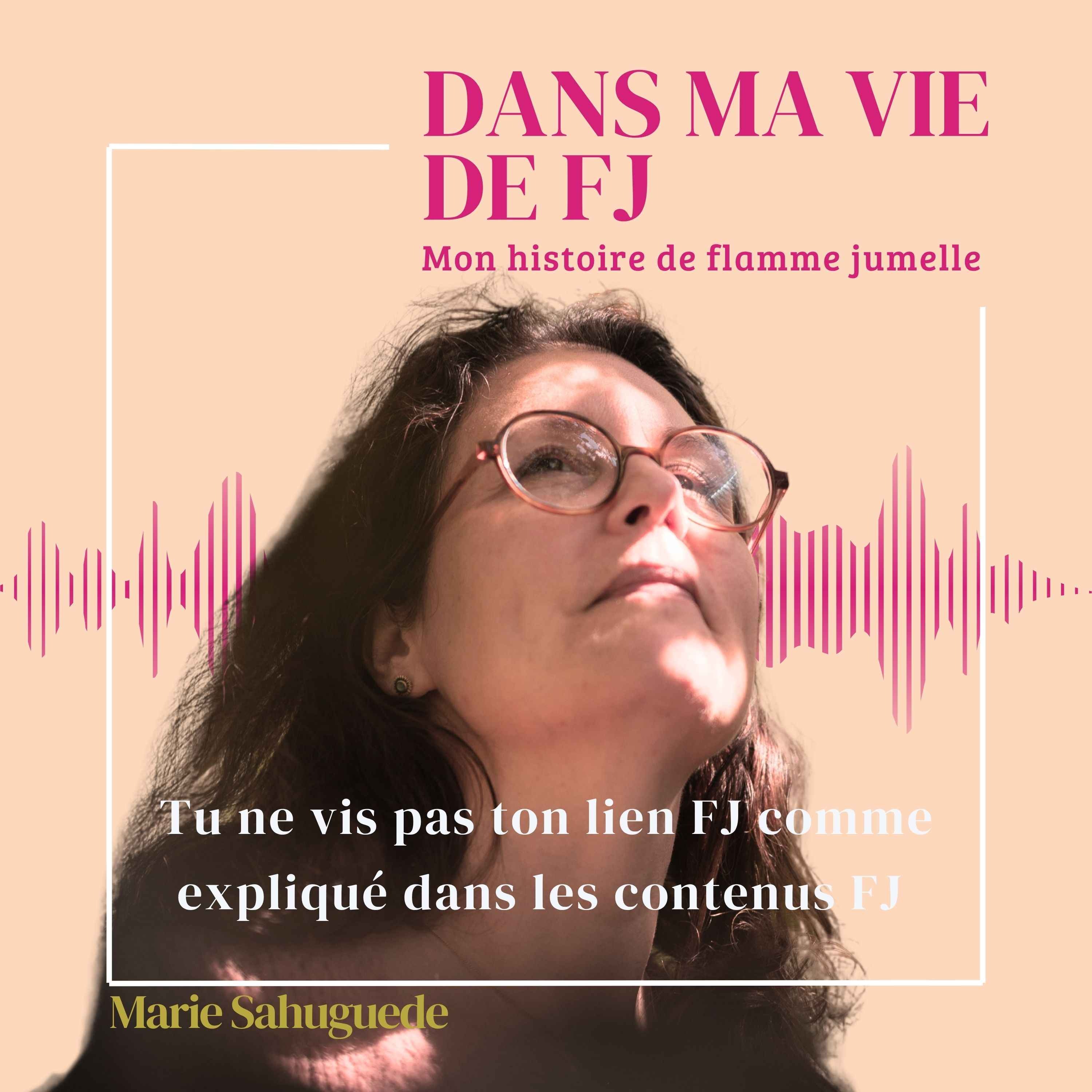 Tu ne vis pas ton lien FJ comme expliqué dans les contenus FJ