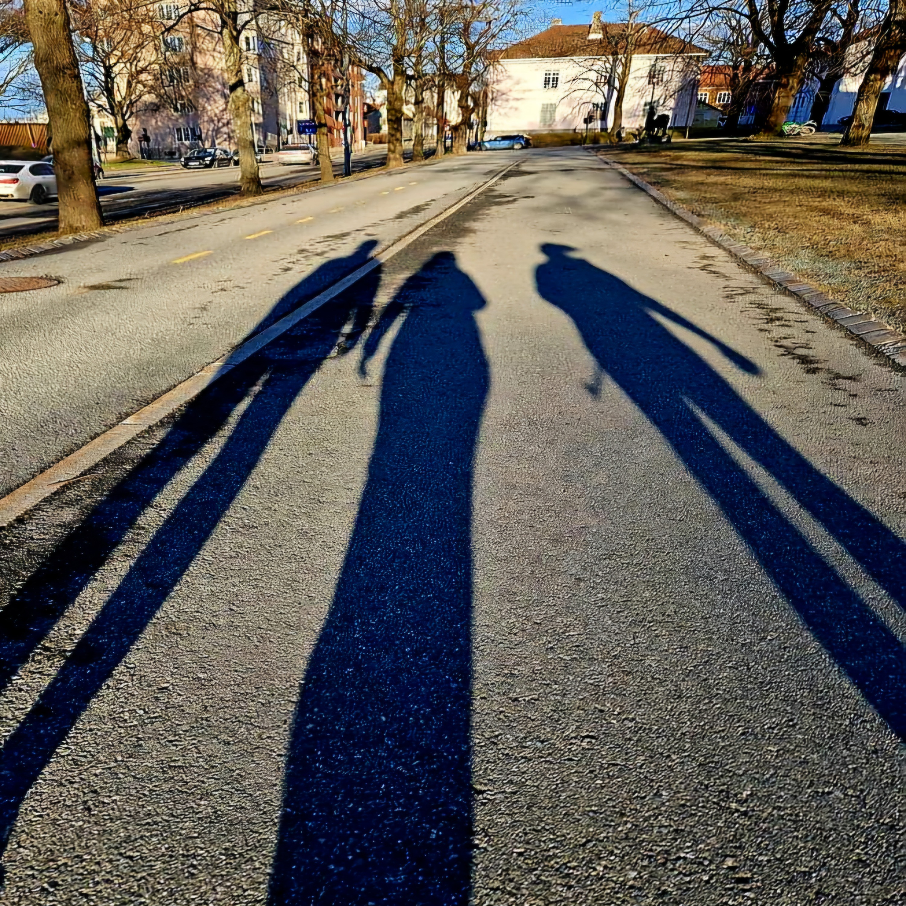Treningsglede